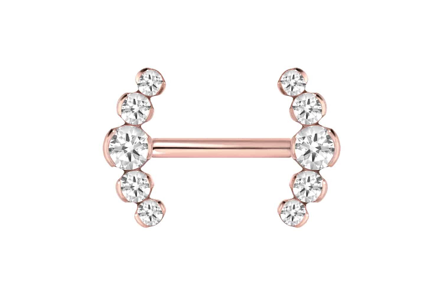 Brustwarzenpiercing Titan Barbell mit Push Fit 5 KRISTALLE