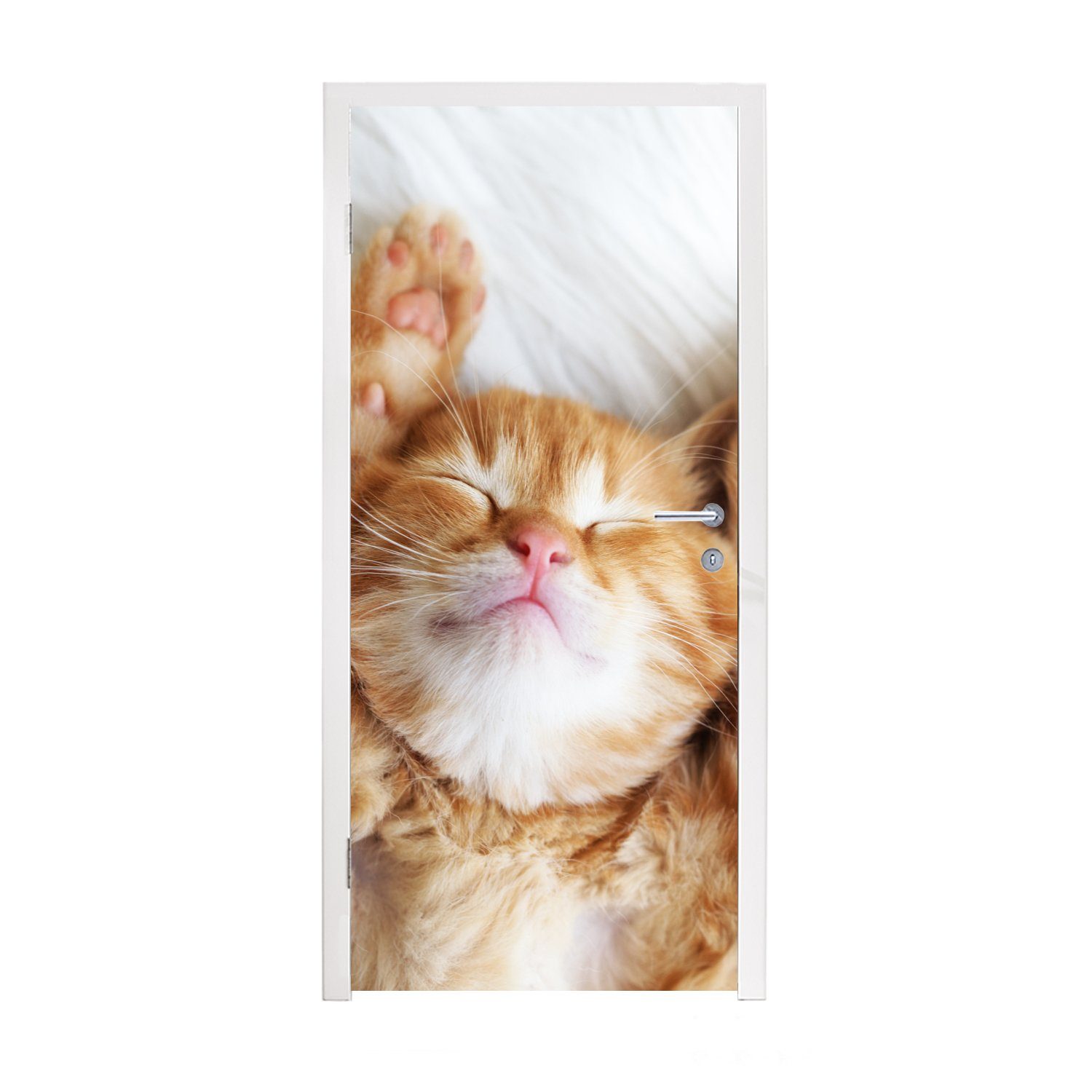 Rot MuchoWow Türtapete für - Haustiere Katze - - cm St), Fototapete bedruckt, Matt, (1 Tür, 75x205 Türaufkleber, Kätzchen,