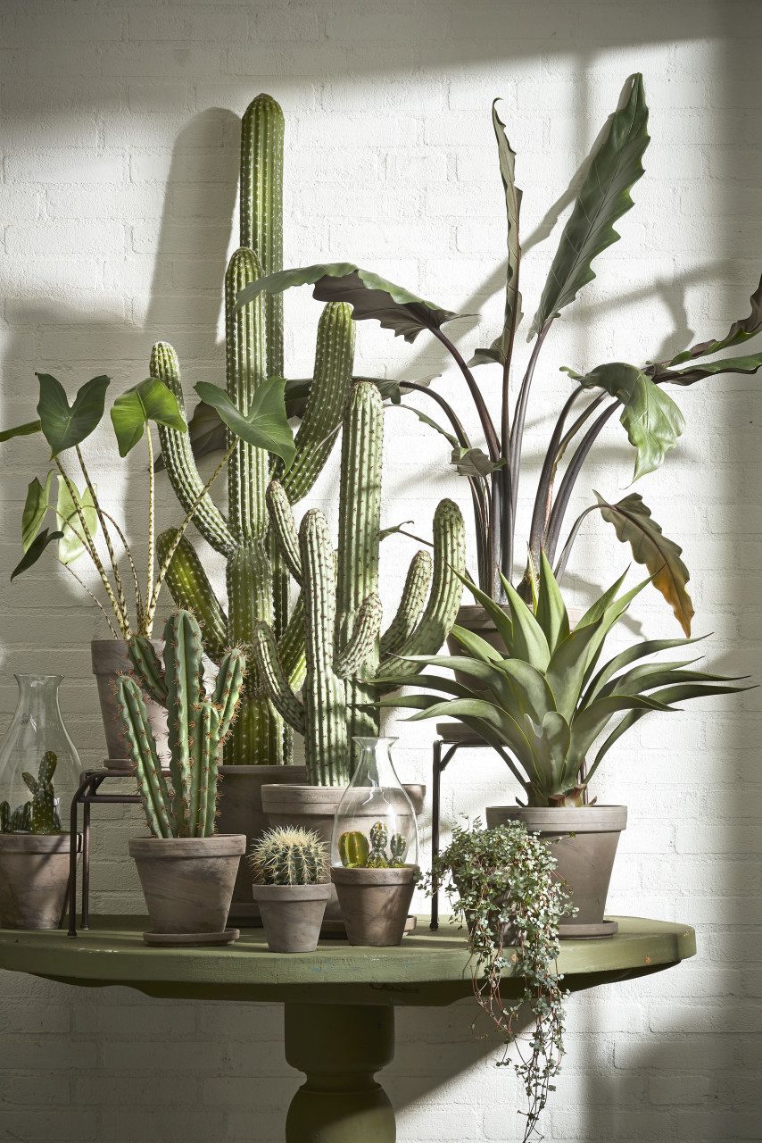 Kunstpflanze Mica künstliche Agave im Topf günstig online kaufen
