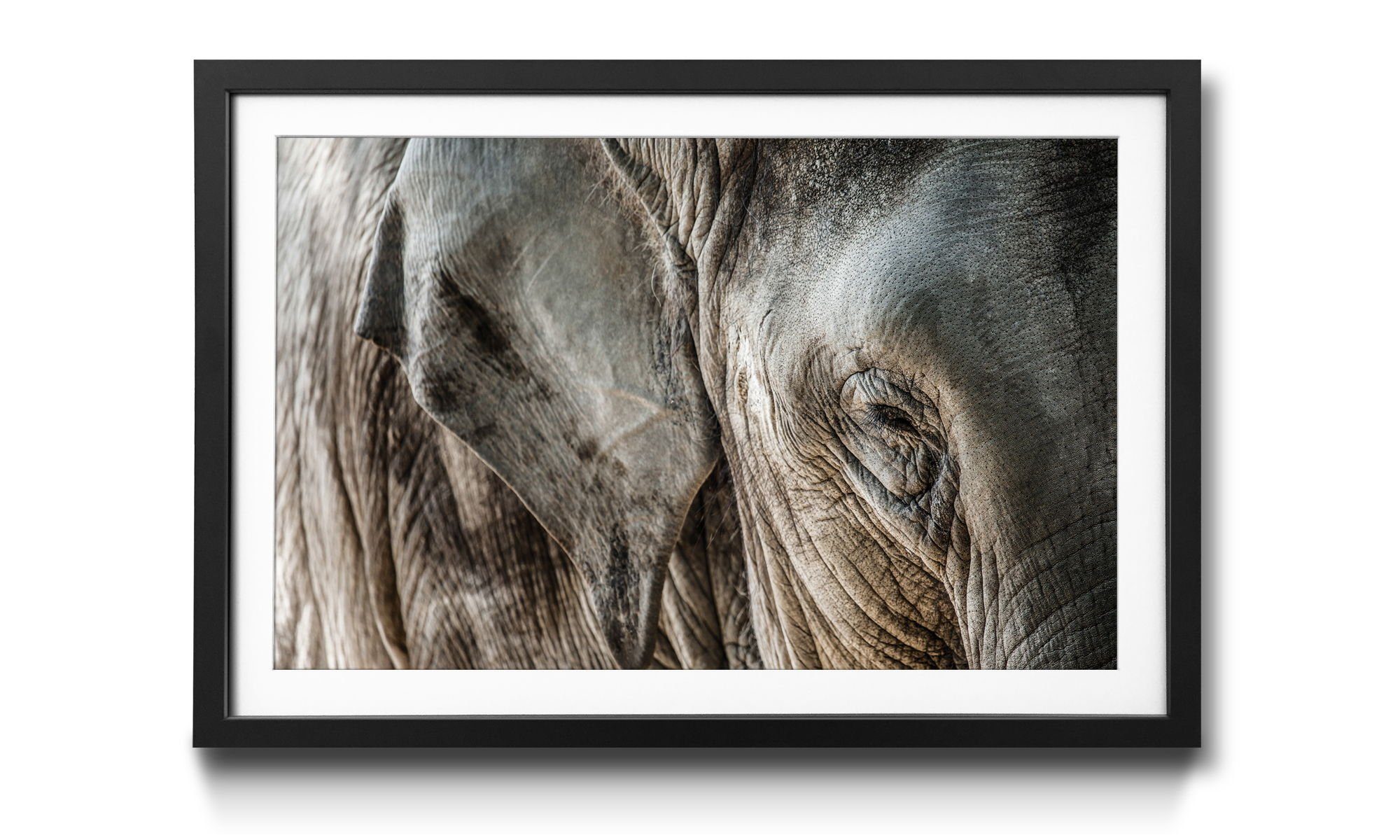 WandbilderXXL in Rahmen Close erhältlich Up, Größen mit Bild 4 Elephant Elefant, Wandbild,