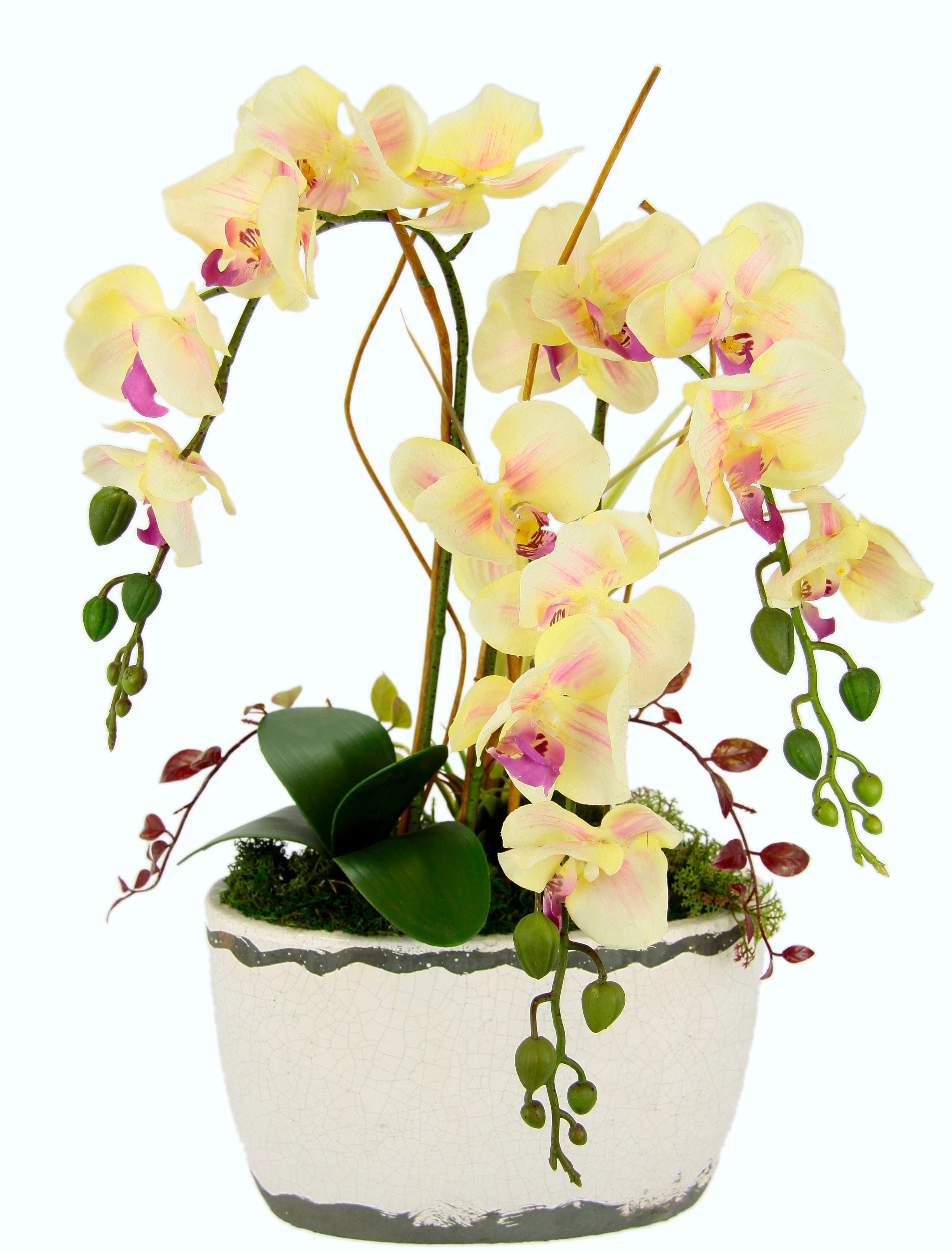 Kunstblume Orchidee, I.GE.A., Höhe 57 cm, in Antik-Schale aus Keramik
