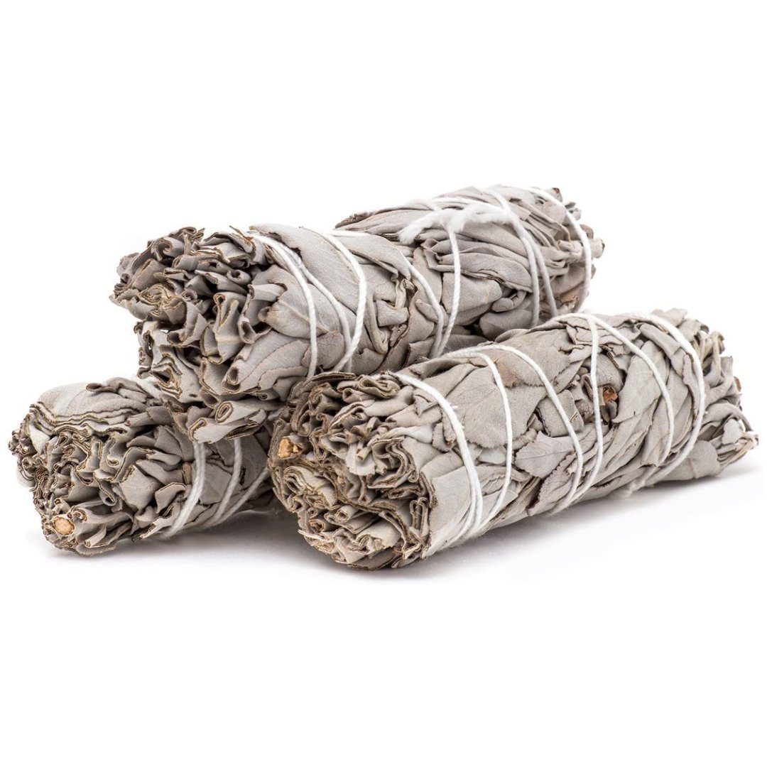 LAVISA Räucherkegel Weißer Salbei Premium, Abalone Muschel, Palo Santo, Salbei Räucher Smudge Abalone White Sage