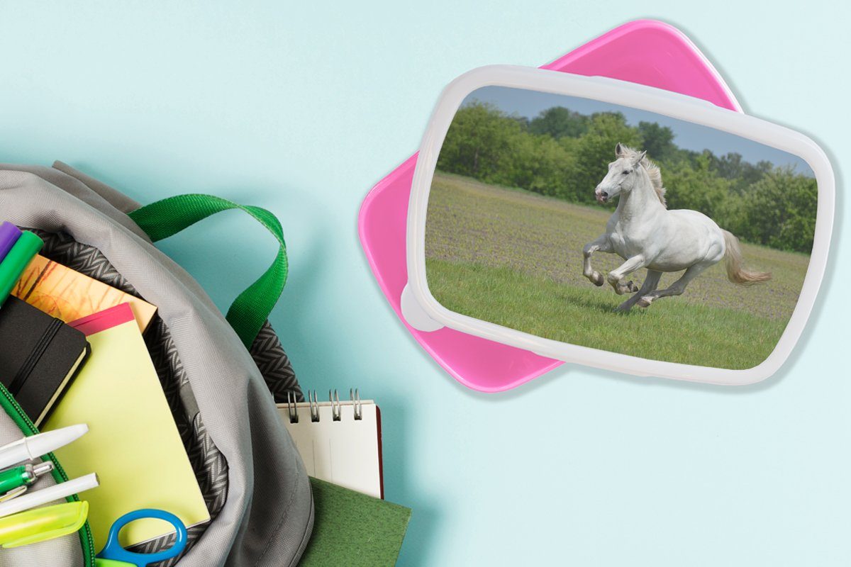 MuchoWow Lunchbox Pferde Brotdose Erwachsene, Kunststoff Kinder, Kunststoff, Natur (2-tlg), für Mädchen, Weiß, - Snackbox, - rosa Brotbox