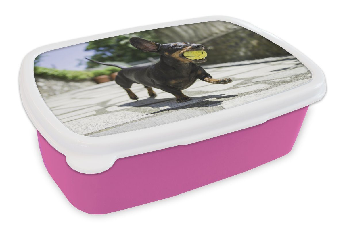 MuchoWow Lunchbox Ein schwarzer Dachshund mit einem Tennisball, Kunststoff, (2-tlg), Brotbox für Erwachsene, Brotdose Kinder, Snackbox, Mädchen, Kunststoff rosa