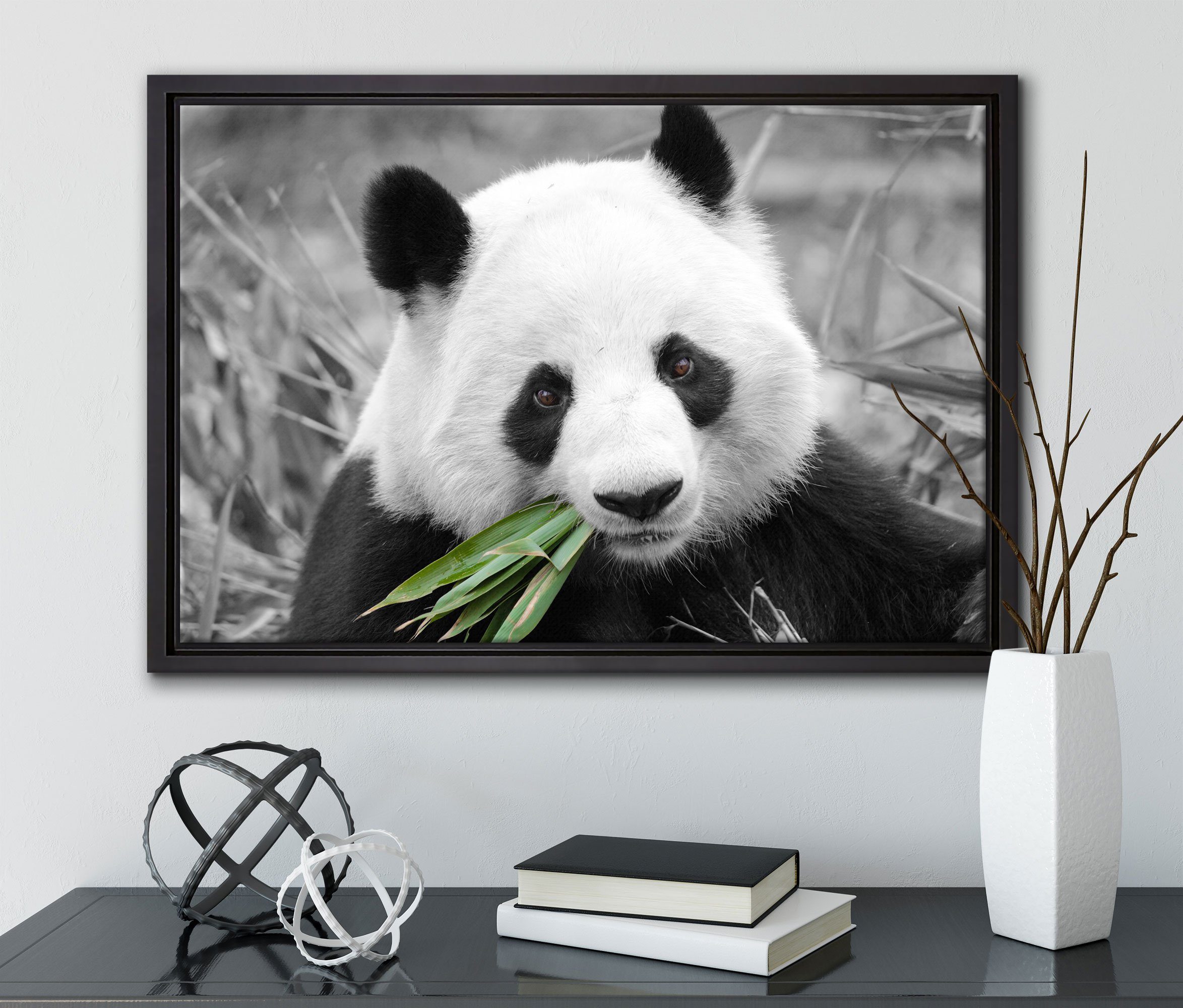 St), frisst Panda bespannt, Schattenfugen-Bilderrahmen kuscheliger Leinwandbild Bambus, (1 inkl. in Wanddekoration einem Pixxprint fertig Leinwandbild gefasst, Zackenaufhänger