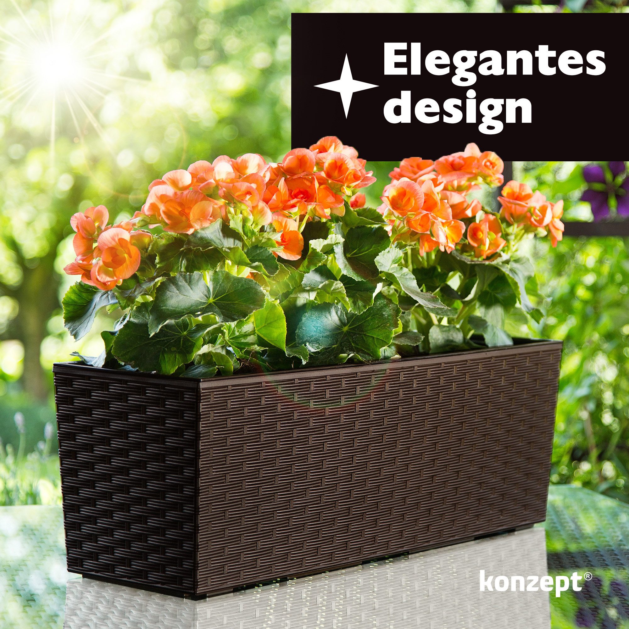 KONZEPT Balkonkasten Hochwertige Blumenkasten Rattan-Optikin, rechteckig günstig online kaufen