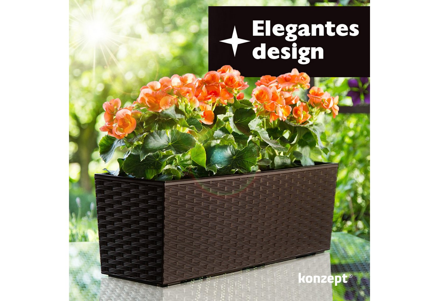 Thumbnail - KONZEPT Balkonkasten Hochwertige Blumenkasten Rattan-Optikin, rechteckig 56 x 19 cm, Balkonkasten ideal fur Balkon, Terr...