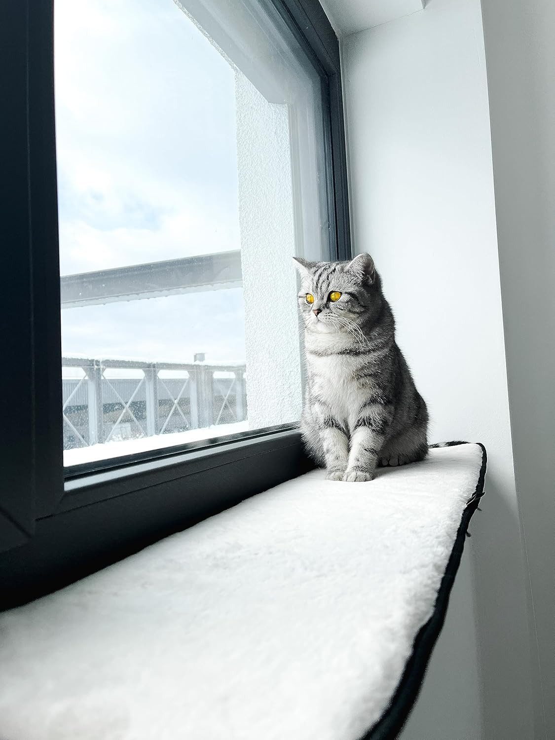 Ollesch Katzenliege Fensterbankauflage für Katzen 90 günstig online kaufen