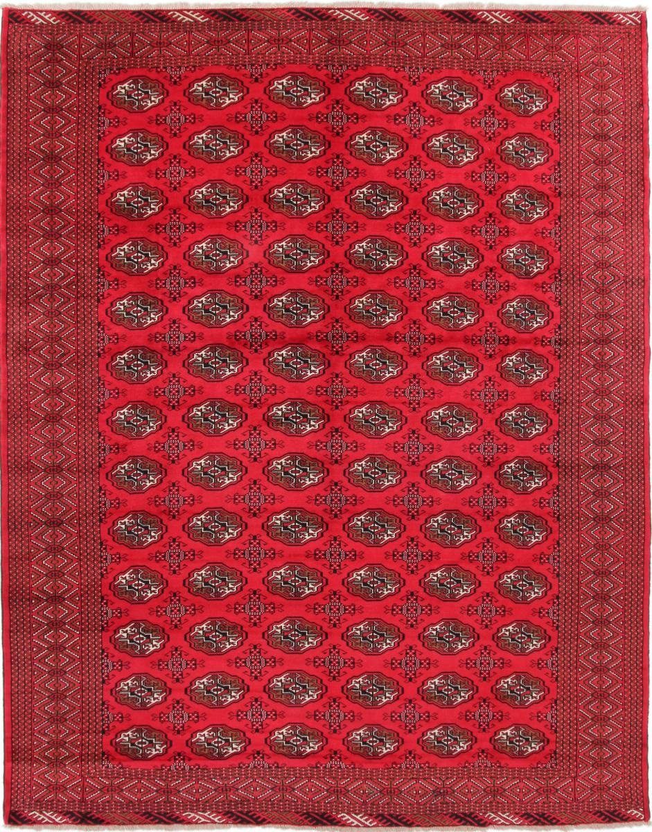 Schnäppchenmarkt Orientteppich Turkaman 290x375 Handgeknüpfter Orientteppich mm 6 Höhe: Nain / rechteckig, Trading, Perserteppich
