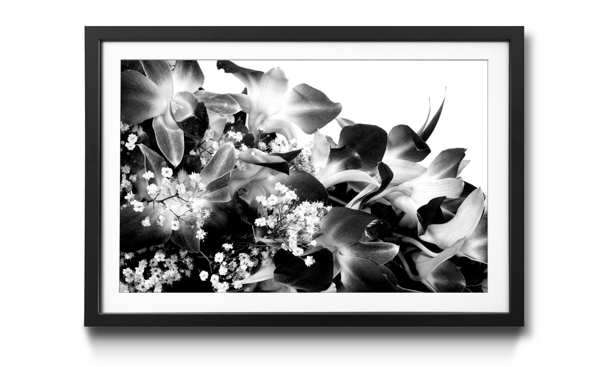 WandbilderXXL Kunstdruck Orchid Blossoms, Blumen, Wandbild, in 4 Größen erhältlich