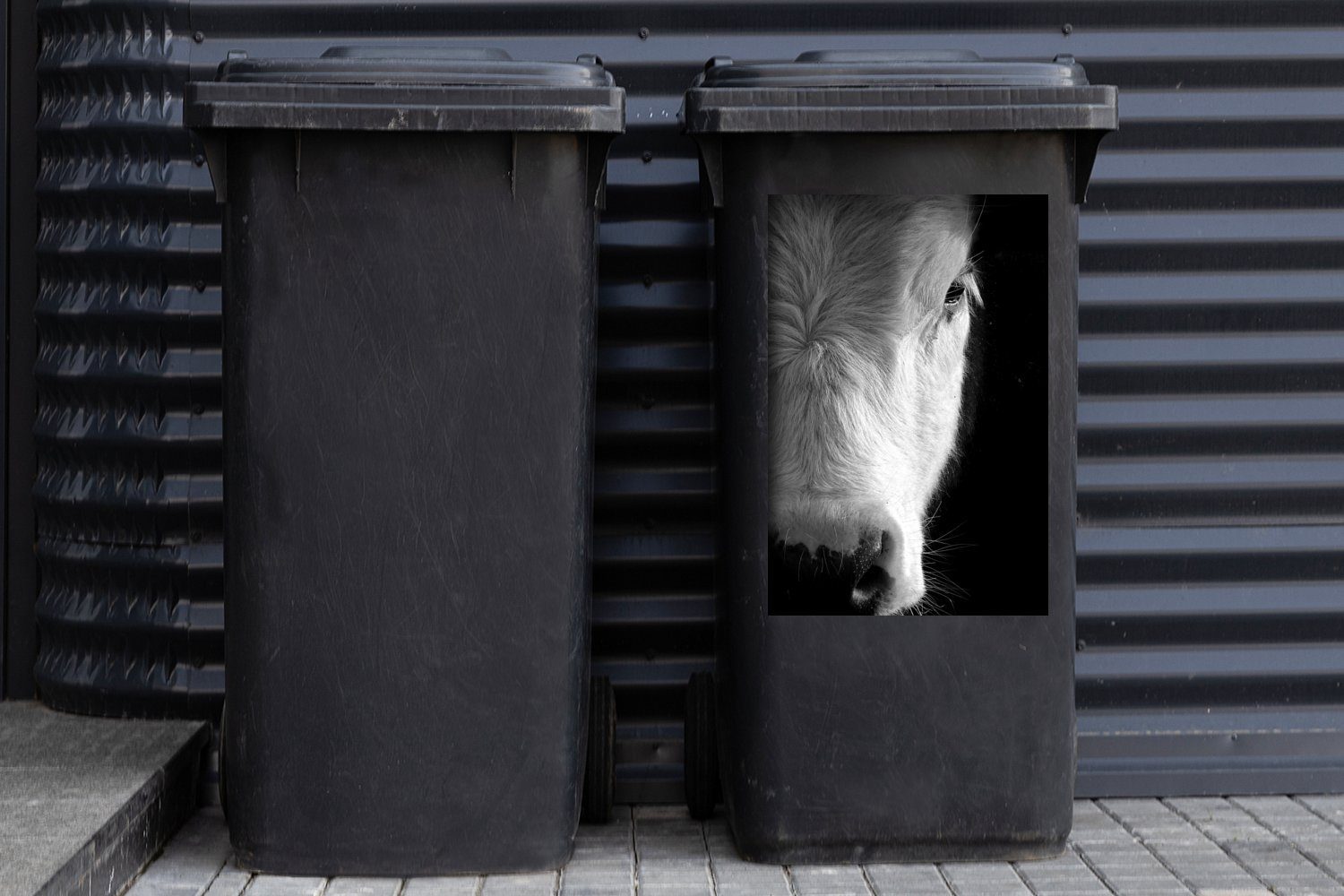 schwarz und - MuchoWow einer Mülleimer-aufkleber, St), Kuh Wandsticker Vergrößertes (1 Container, Sticker, weiß Bild Abfalbehälter Mülltonne,