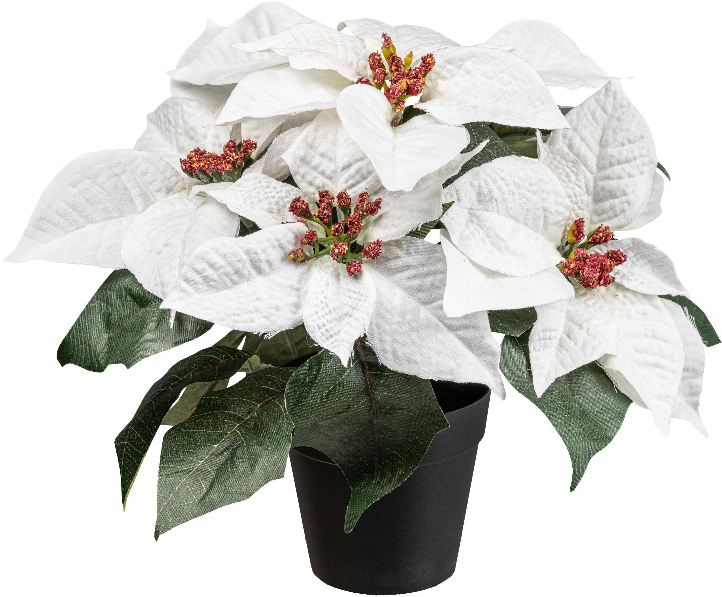 Winterliche Kunstpflanze Weihnachtsstern, Creativ green, Höhe 26 cm, mit üp günstig online kaufen