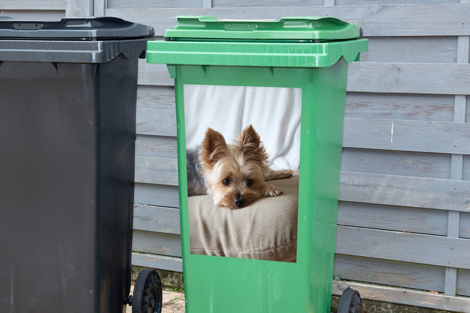 MuchoWow Wandsticker Sticker, Terrier (1 Sofa Container, Mülleimer-aufkleber, Yorkshire Abfalbehälter St), liegt Mülltonne, schlafend dem auf