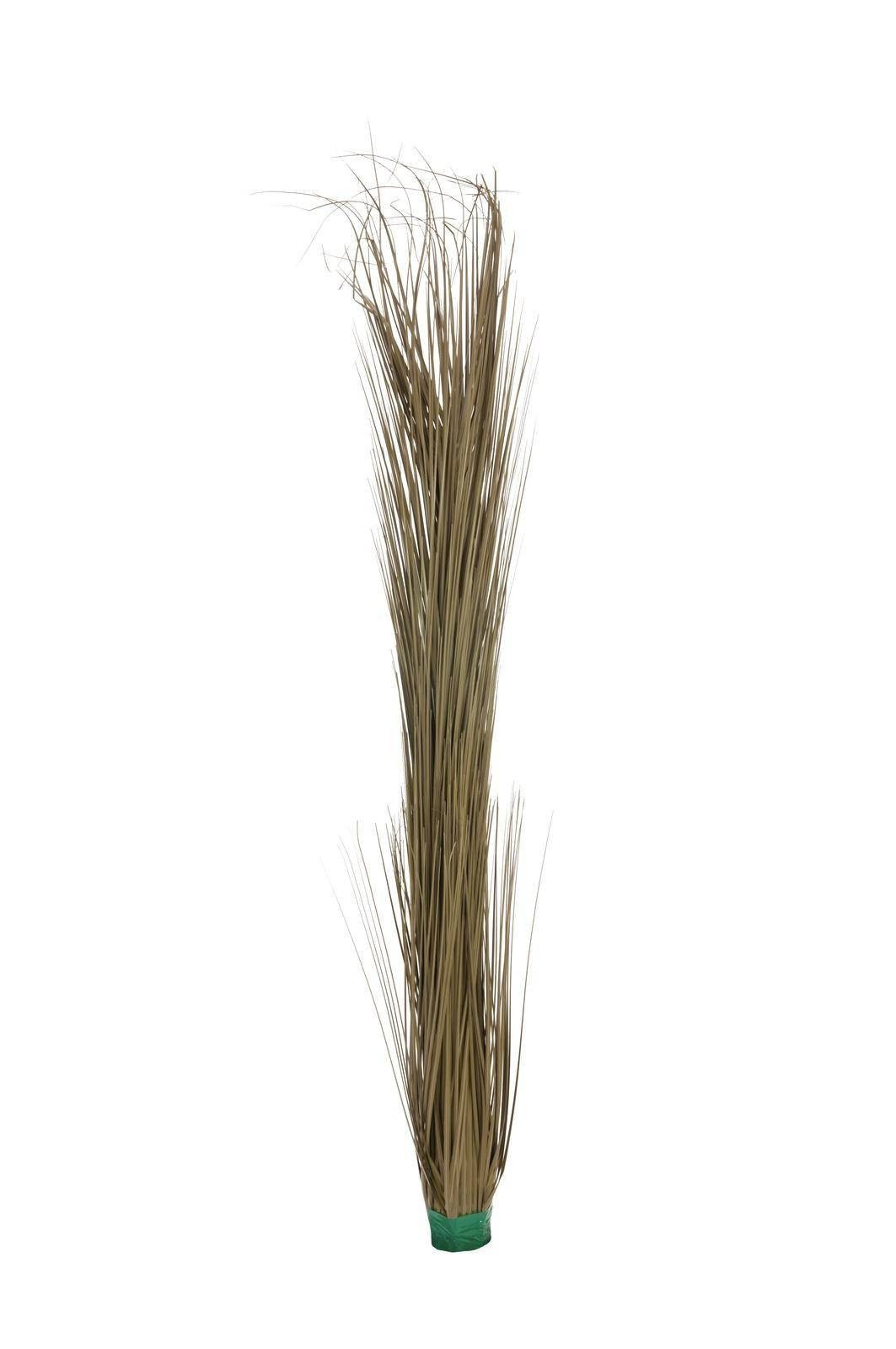 Kunstgras Künstliches Schilfgras, grün-braun, 130cm - Grasbüschel künstlich Schilf, artplants, Höhe 130.0 cm