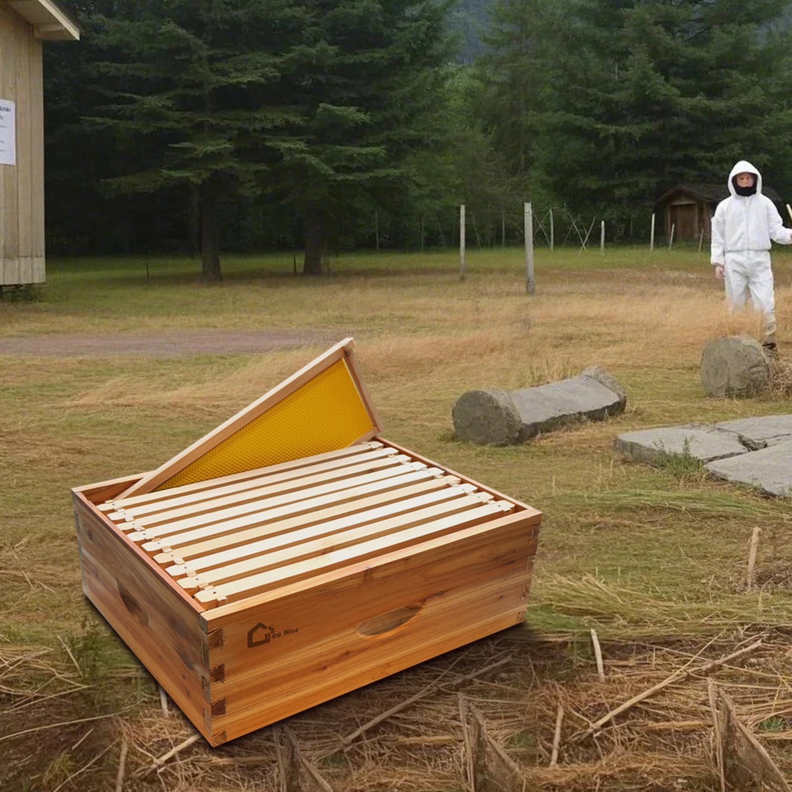 Produktbild von Bienenbeute 10-Rähmchen Bienenstock Mit Fenster – Imkereibedarf Komplett