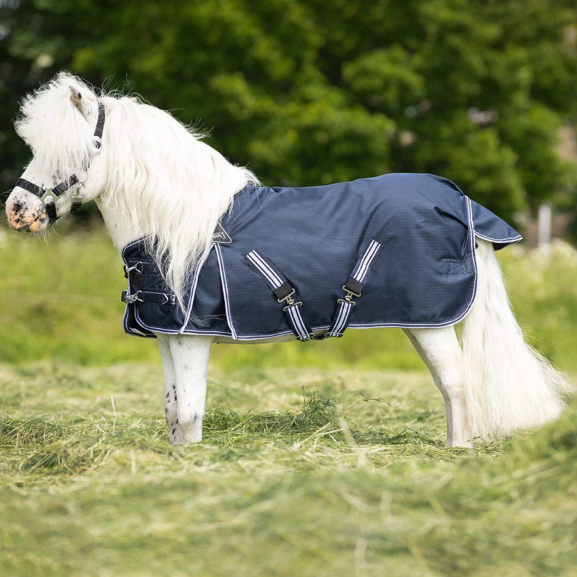 QHP Pferde-Abschwitzdecke QHP Falabelladecke Turnout 0g
