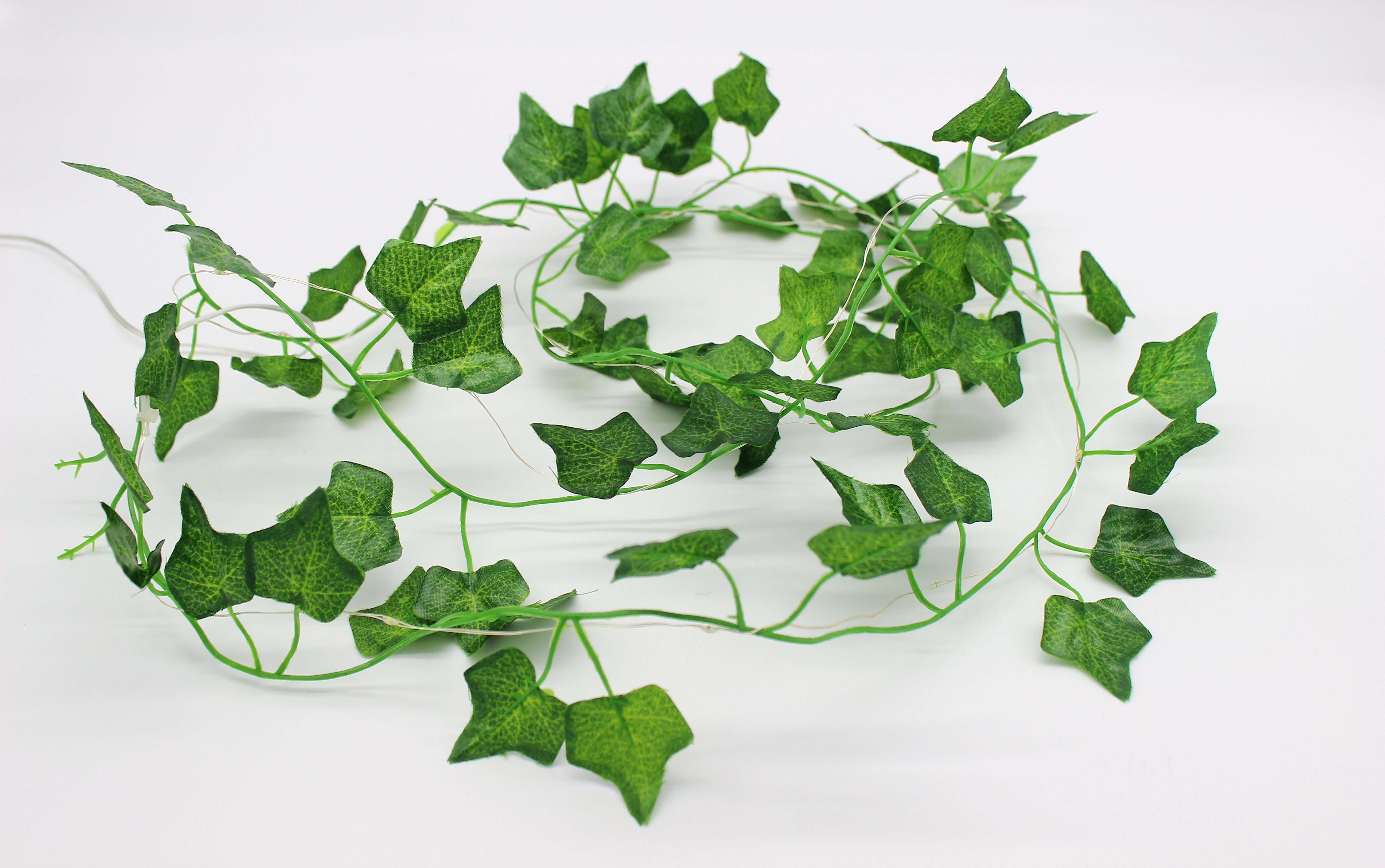 Luna24 simply great ideas... LED-Lichterkette L24 - Lichterkette Efeu, schö günstig online kaufen