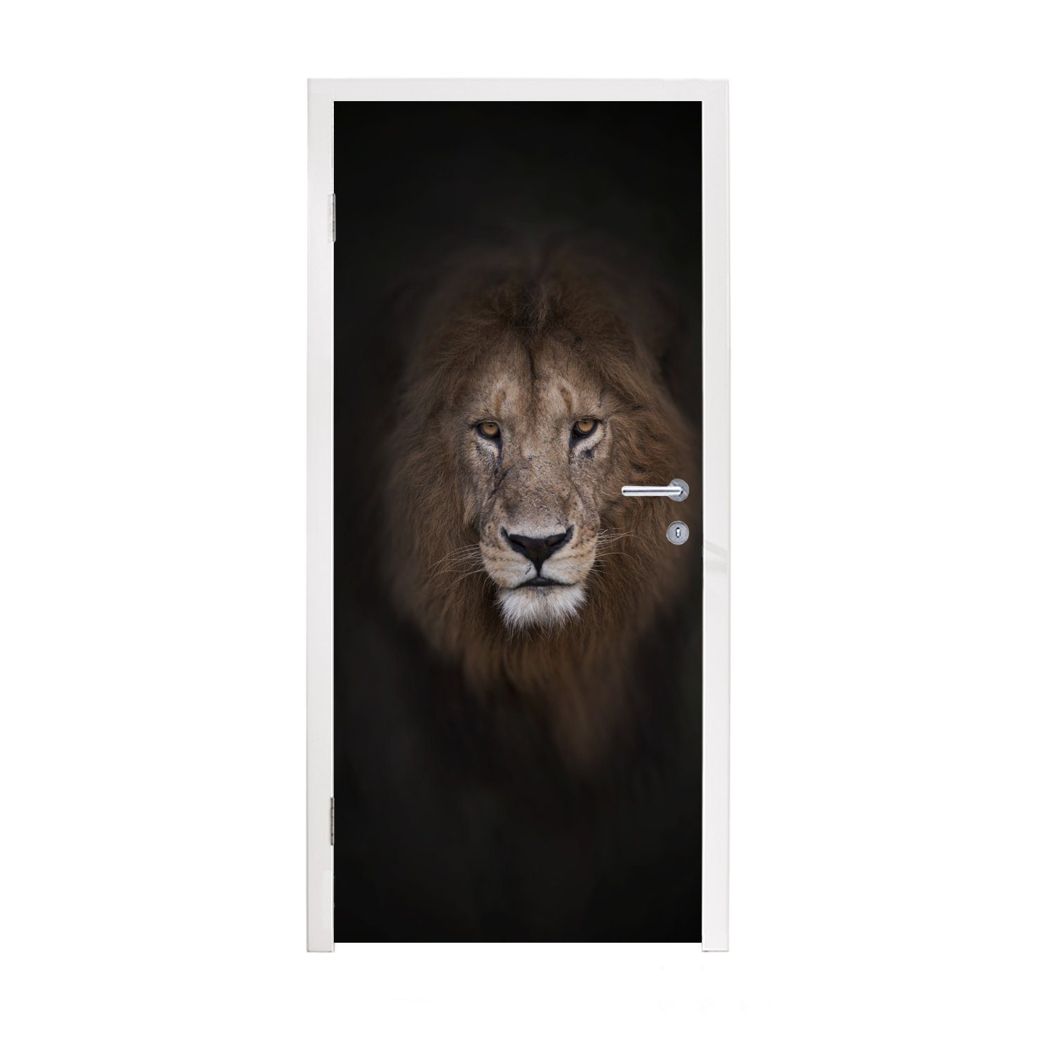 75x205 Fototapete - Türtapete Türaufkleber, MuchoWow St), Schatten cm Löwe bedruckt, - Matt, Tür, (1 für Wild,