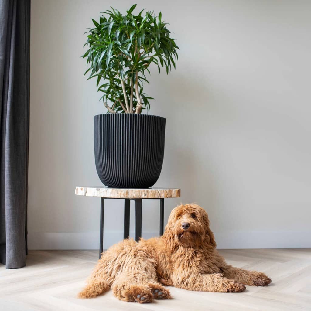 Capi Blumentopf Pflanzgefäß Groove 43x41 cm günstig online kaufen