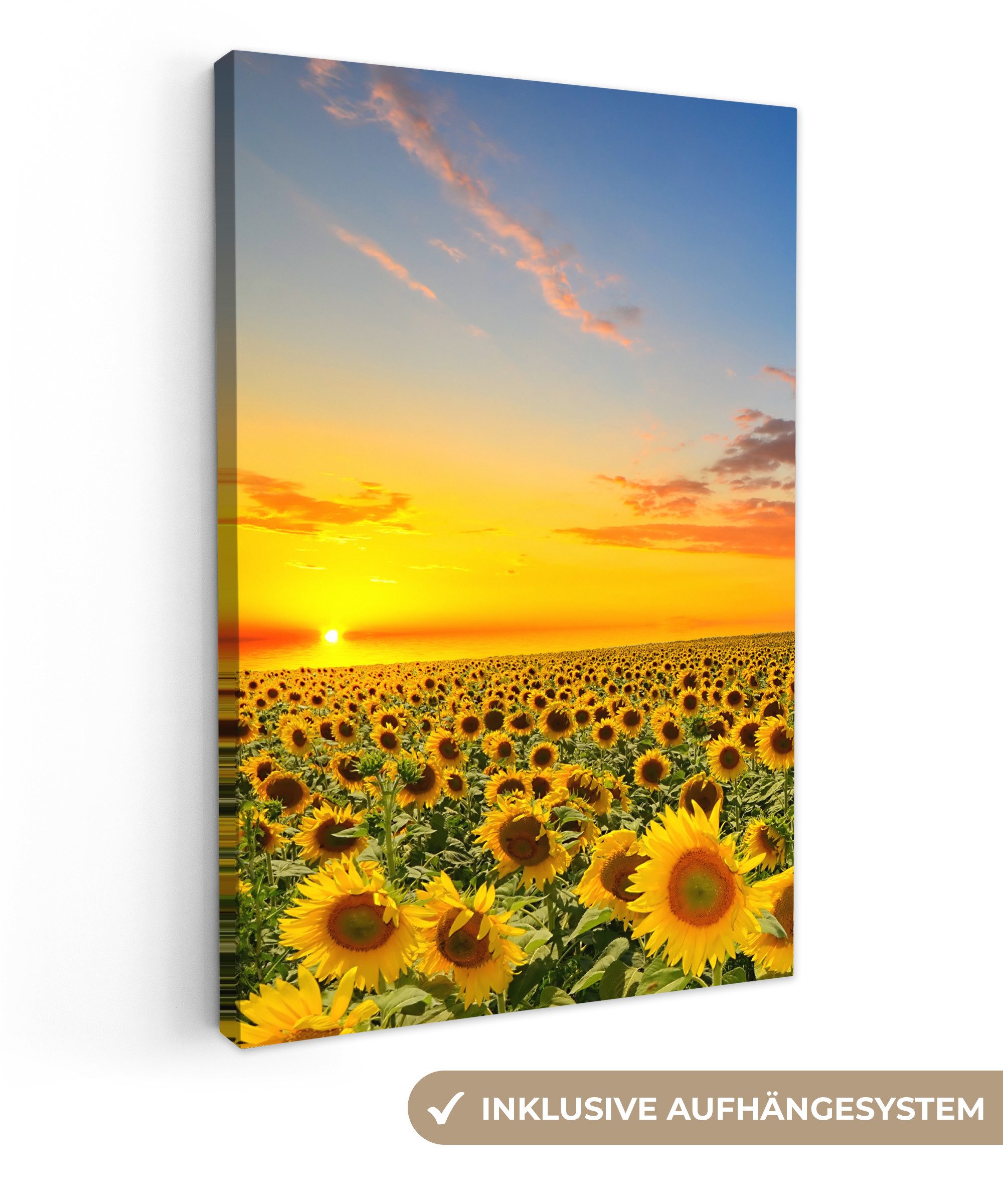 OneMillionCanvasses® Leinwandbild Blumen - Sonnenblume - Sonnenuntergang - günstig online kaufen