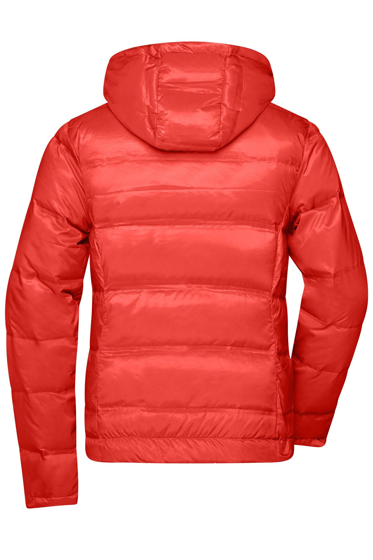 James & Nicholson Daunenjacke Leicht taillierte Damen Daunenjacke in Glanzo günstig online kaufen