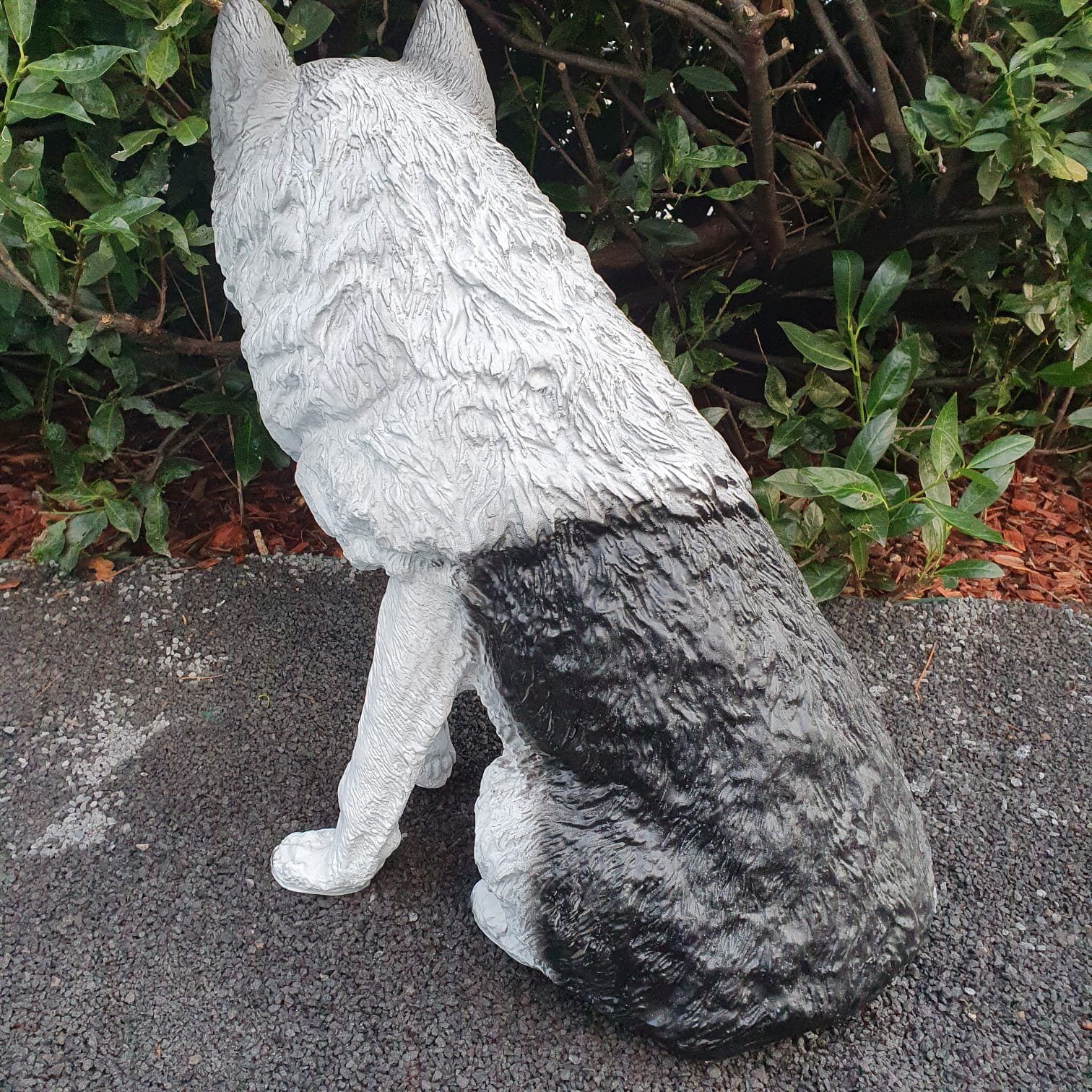 cm Figur Sitzende Aspinaworld 70 Gartenfigur Wolf wetterfest