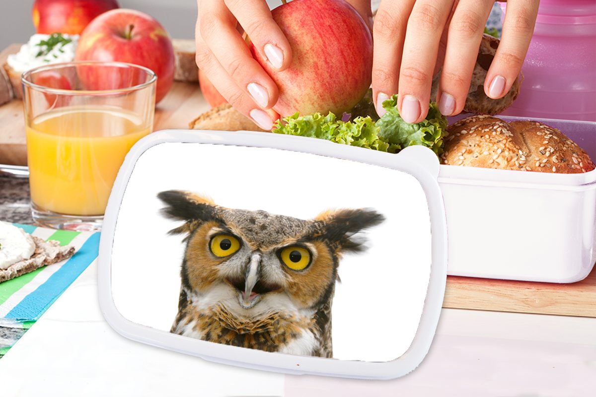 für weiß Porträt, Kinder Brotbox Lunchbox MuchoWow Kunststoff, Eule Brotdose, (2-tlg), und Jungs Erwachsene, - und - für Mädchen Vogel