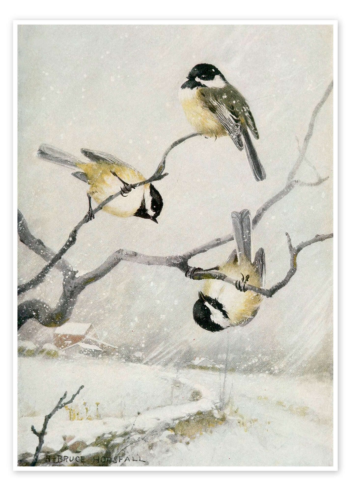 Poster R. B. Horsfall