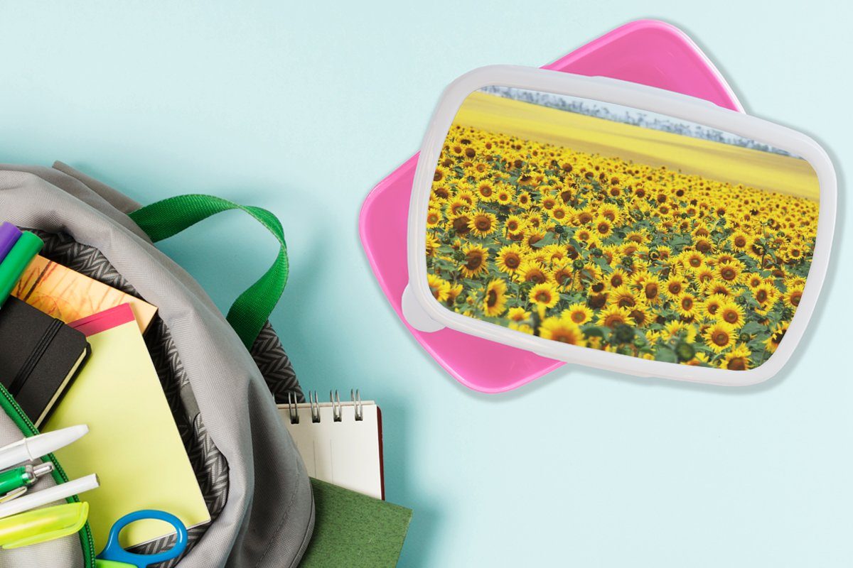 Brotbox Blumen Kinder, Mädchen, Erwachsene, Brotdose - Sonnenblume rosa - Natur, Lunchbox MuchoWow Kunststoff, Kunststoff (2-tlg), für Snackbox,