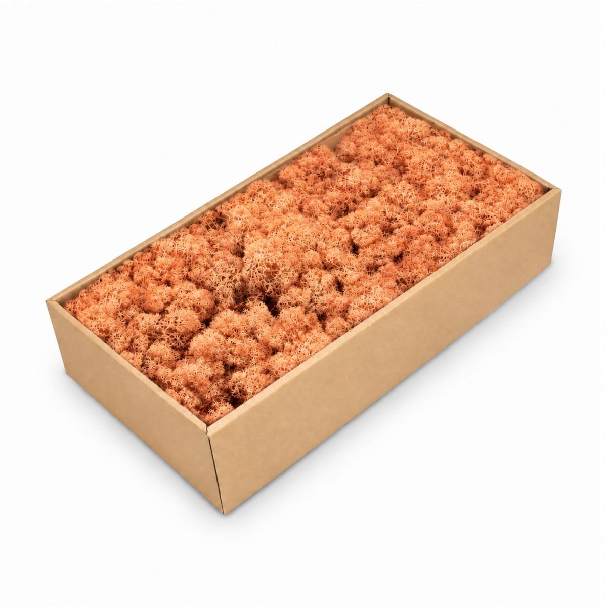NaDeco Bastelnaturmaterial Islandmoos Mango 500g