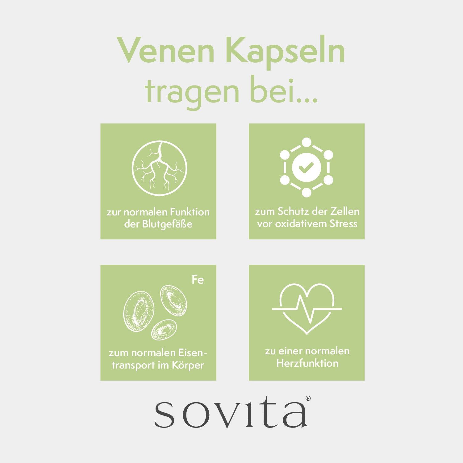 Ascopharm Venen Kapseln, 120 Stk. mit 100 mg Rosskastanie & 80 mg Vitamin C 1, 1 er