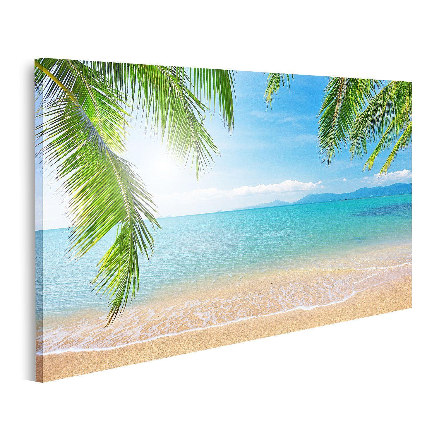 Leinwandbild Bild auf Leinwand Palmen Und Tropischen Strand 80x40cm 1-teilig