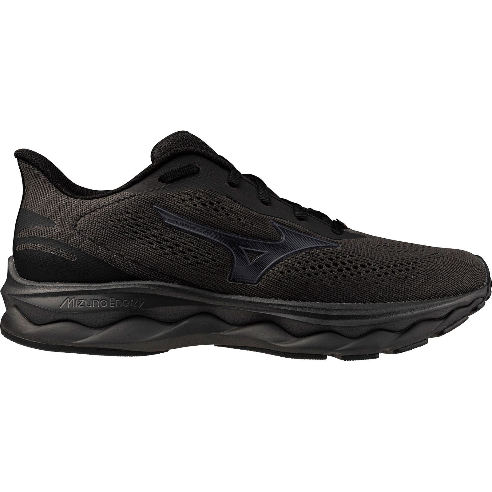 Mizuno Wave Serene 2 GTX Men J1GC2560-01 Trailrunningschuh Trailrunning und günstig online kaufen