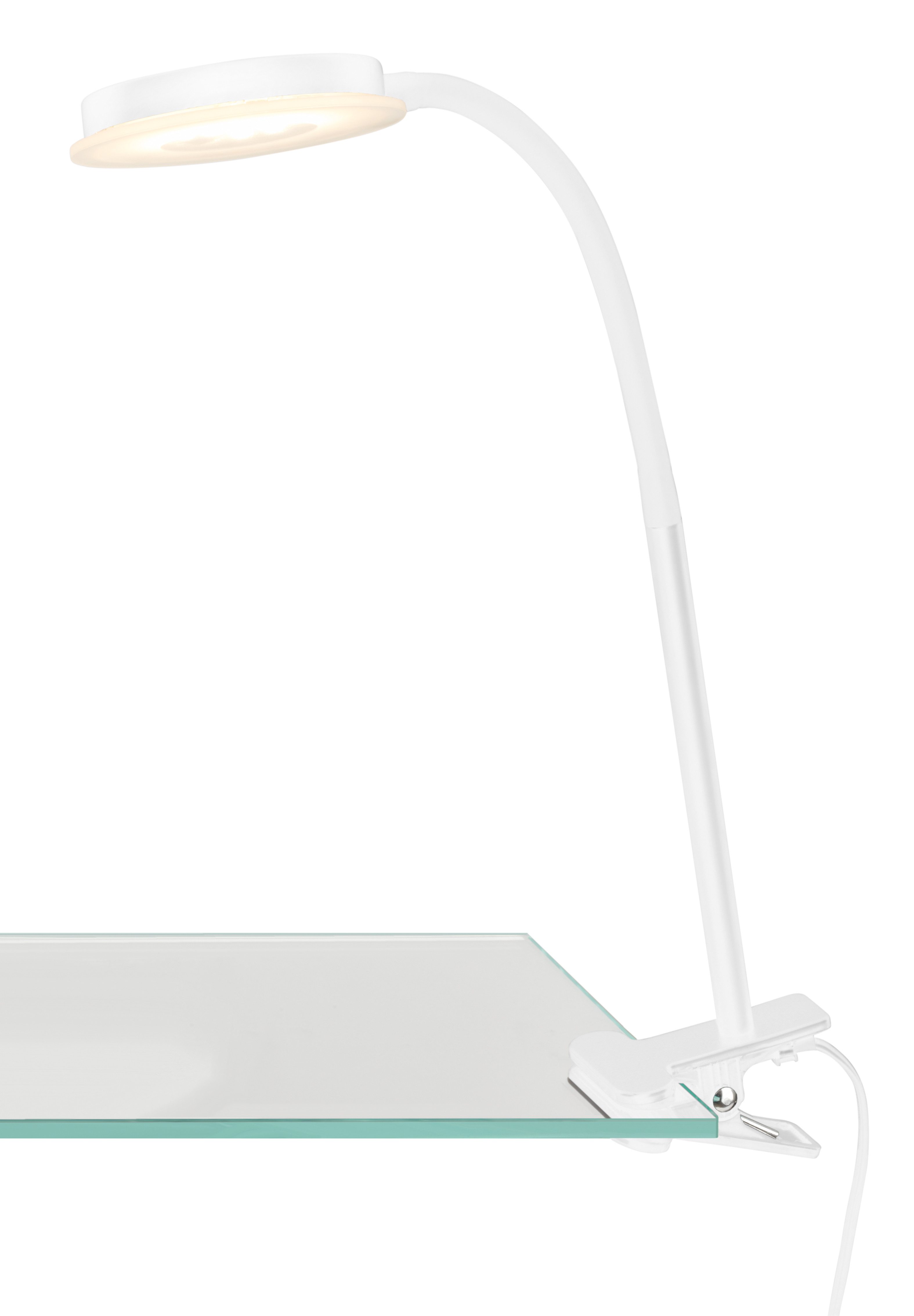 Briloner Leuchten LED Klemmleuchte PLEGG 2195016 günstig online kaufen