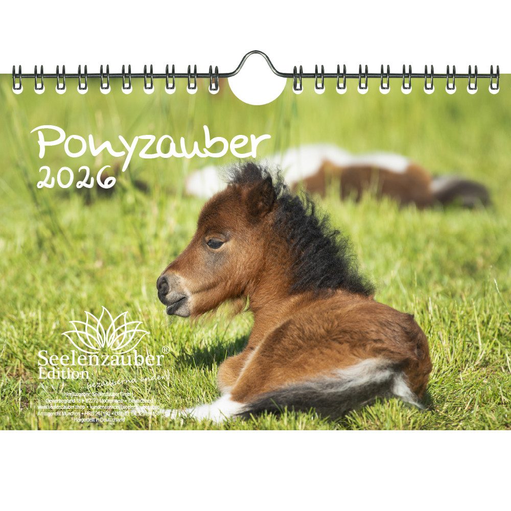 Seelenzauber Wandkalender Ponyzauber DIN A5 Kalender für 2026 Pony und Fohlen - Seelenzauber