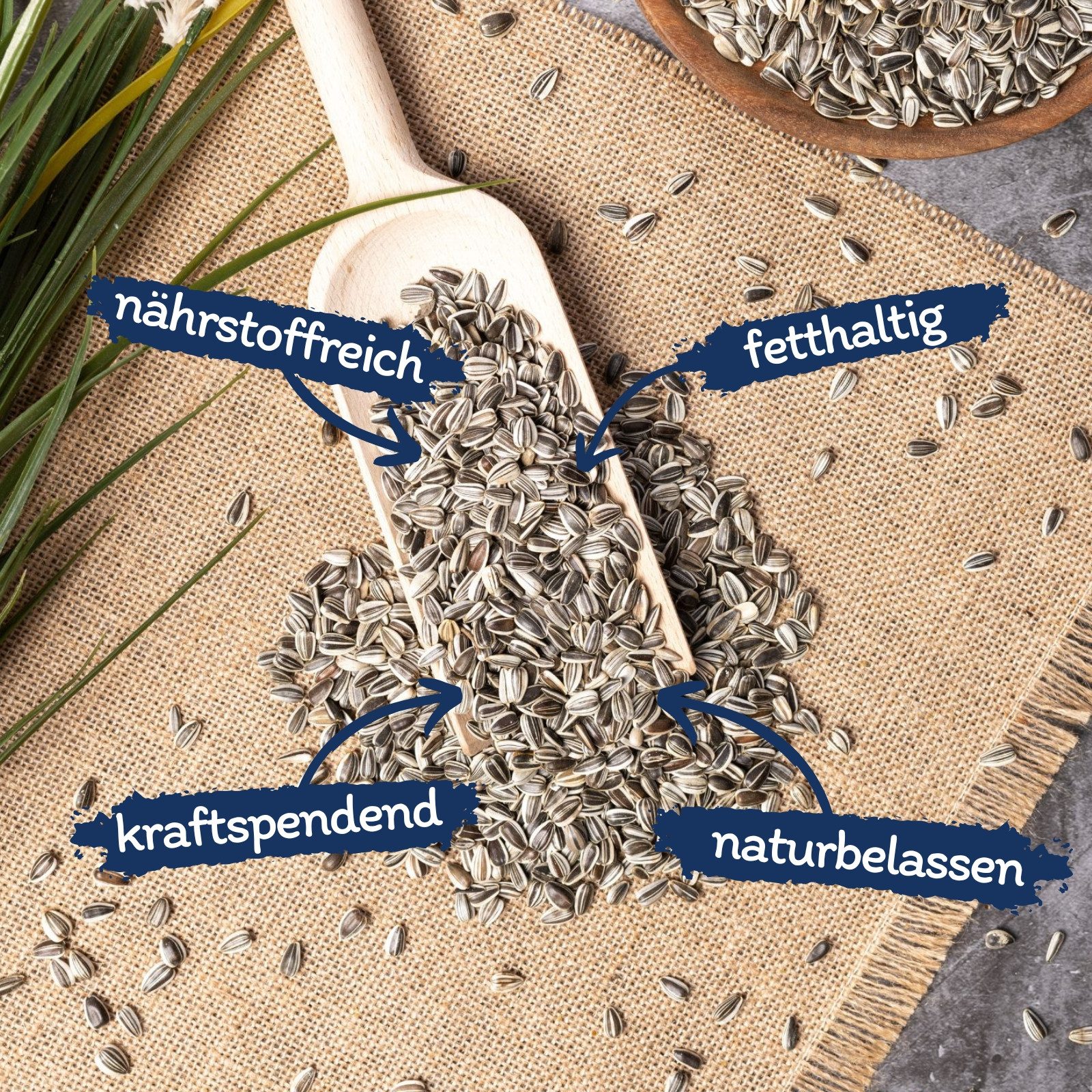 Lyra Pet 10 kg Lyra Pet® Sonnenblumenkerne gestreift, für: Wildvogel