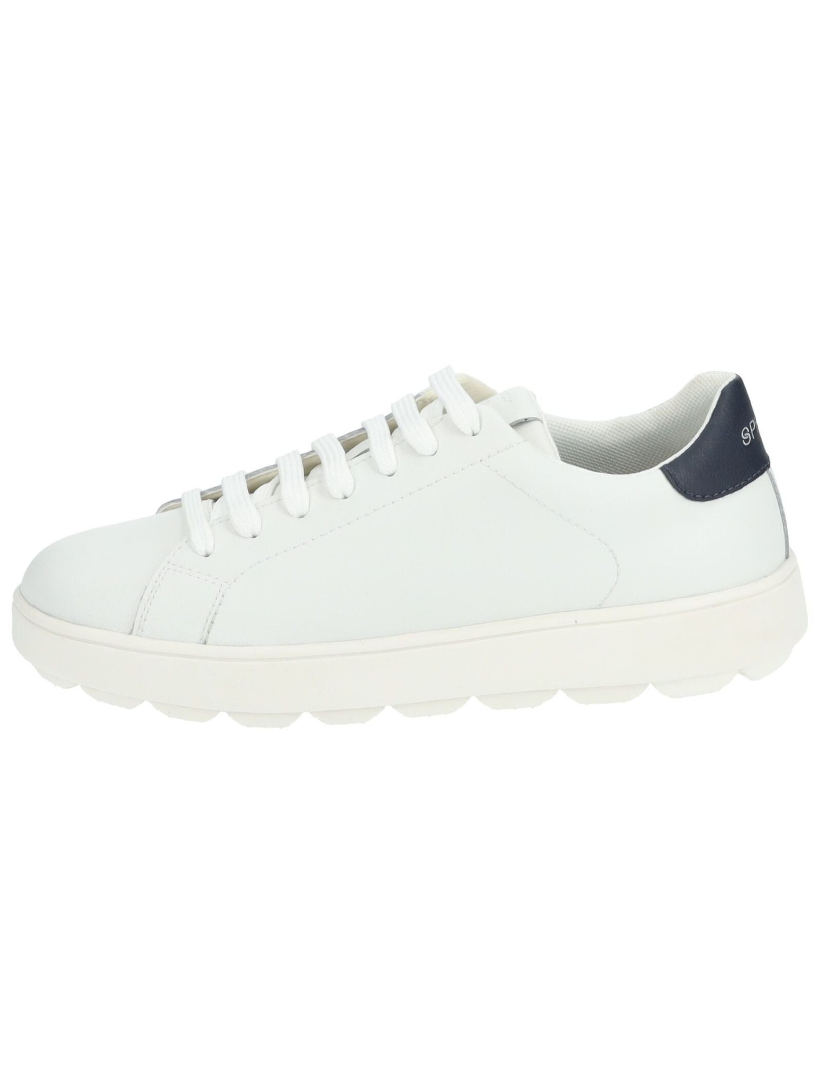 Geox Geox Sneaker Leder/Synthetik Sneaker günstig online kaufen