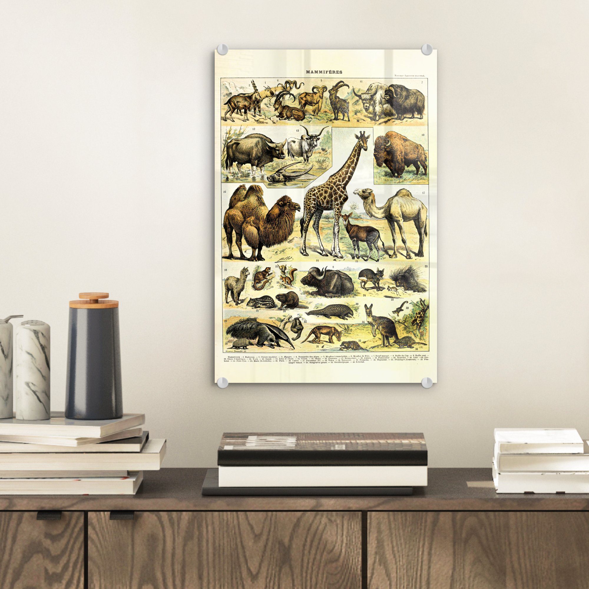 MuchoWow Acrylglasbild Tiere - Giraffe Kamel, (1 Glas - Bilder Glas auf - Wandbild - Wanddekoration Glasbilder auf Foto St), 