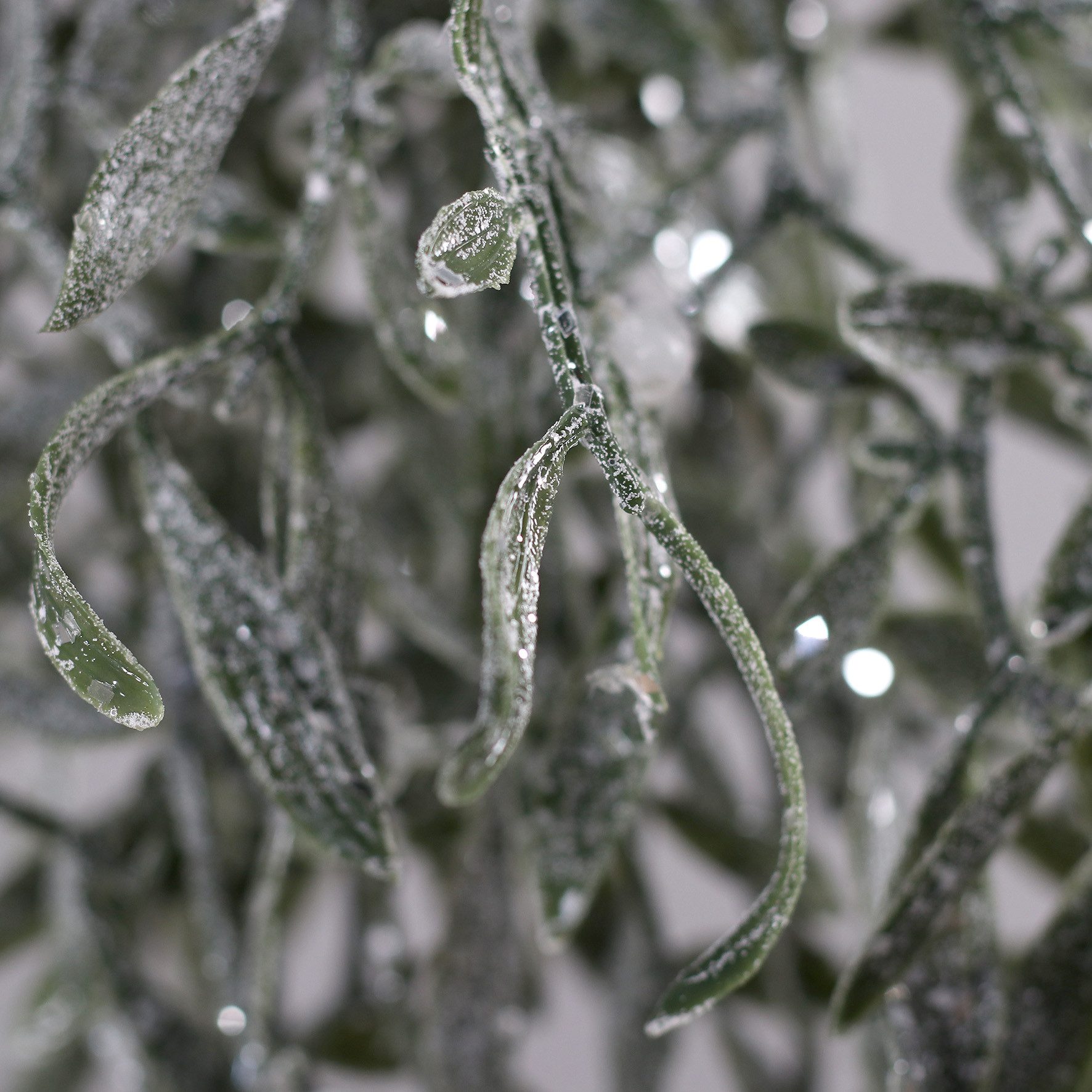 Kunstranke Mistelzweigbund zum Hängen in geeister Optik 60x30cm DP künstlic günstig online kaufen