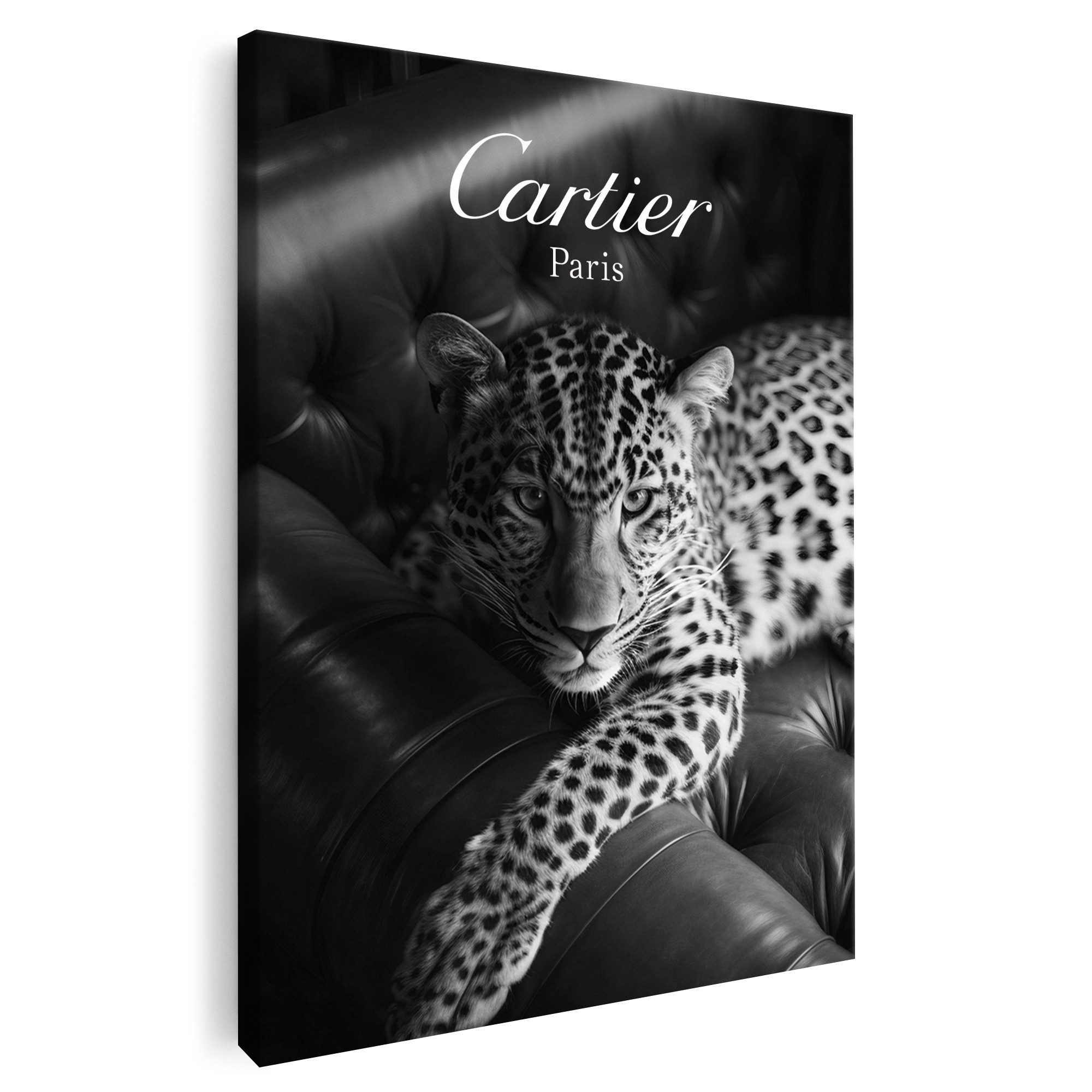 Artmazing Leinwandbild Couch Katze, XXL Leinwand günstig online kaufen