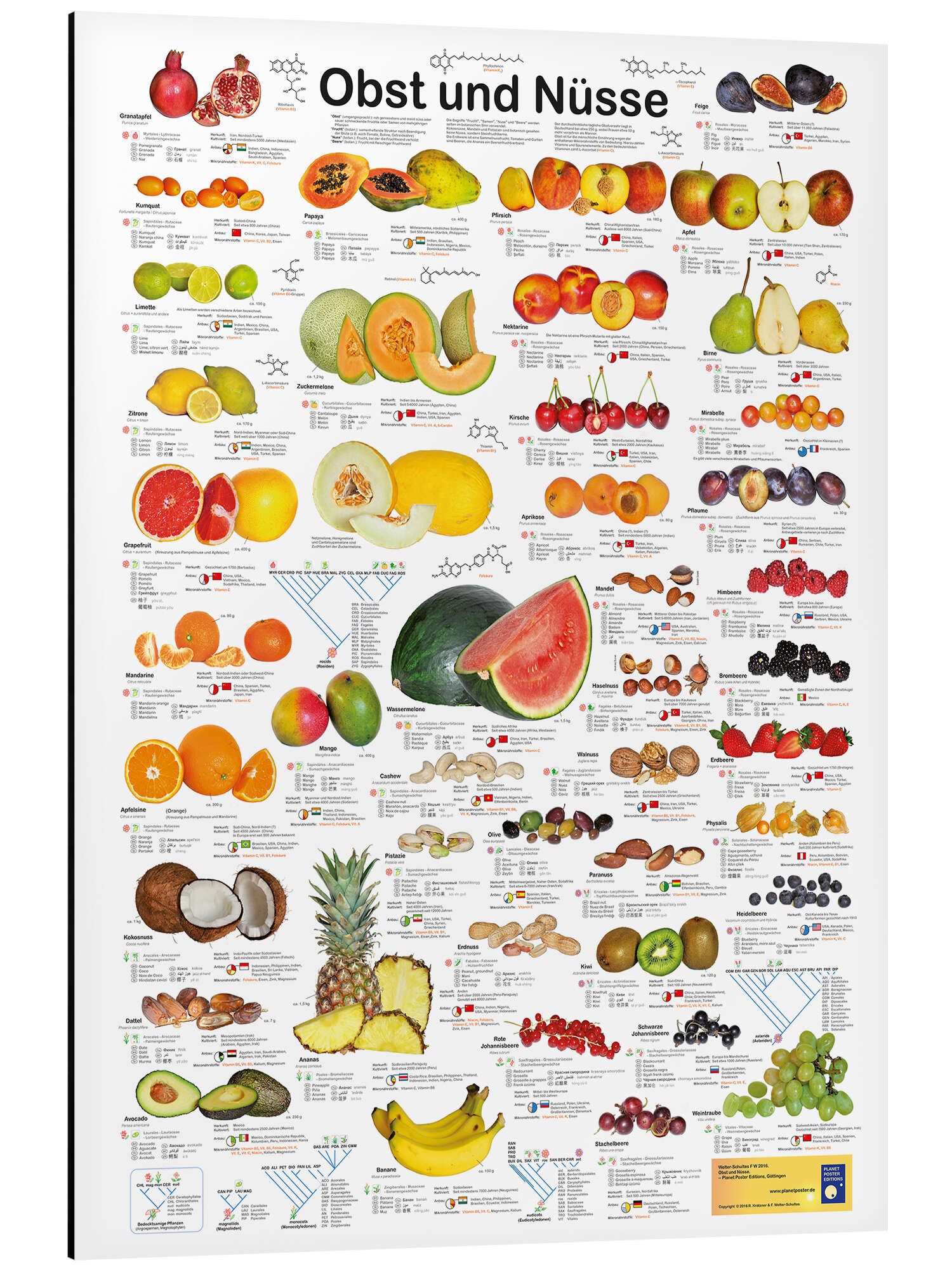 Posterlounge Poster Planet Poster Editions, Obst günstig online kaufen