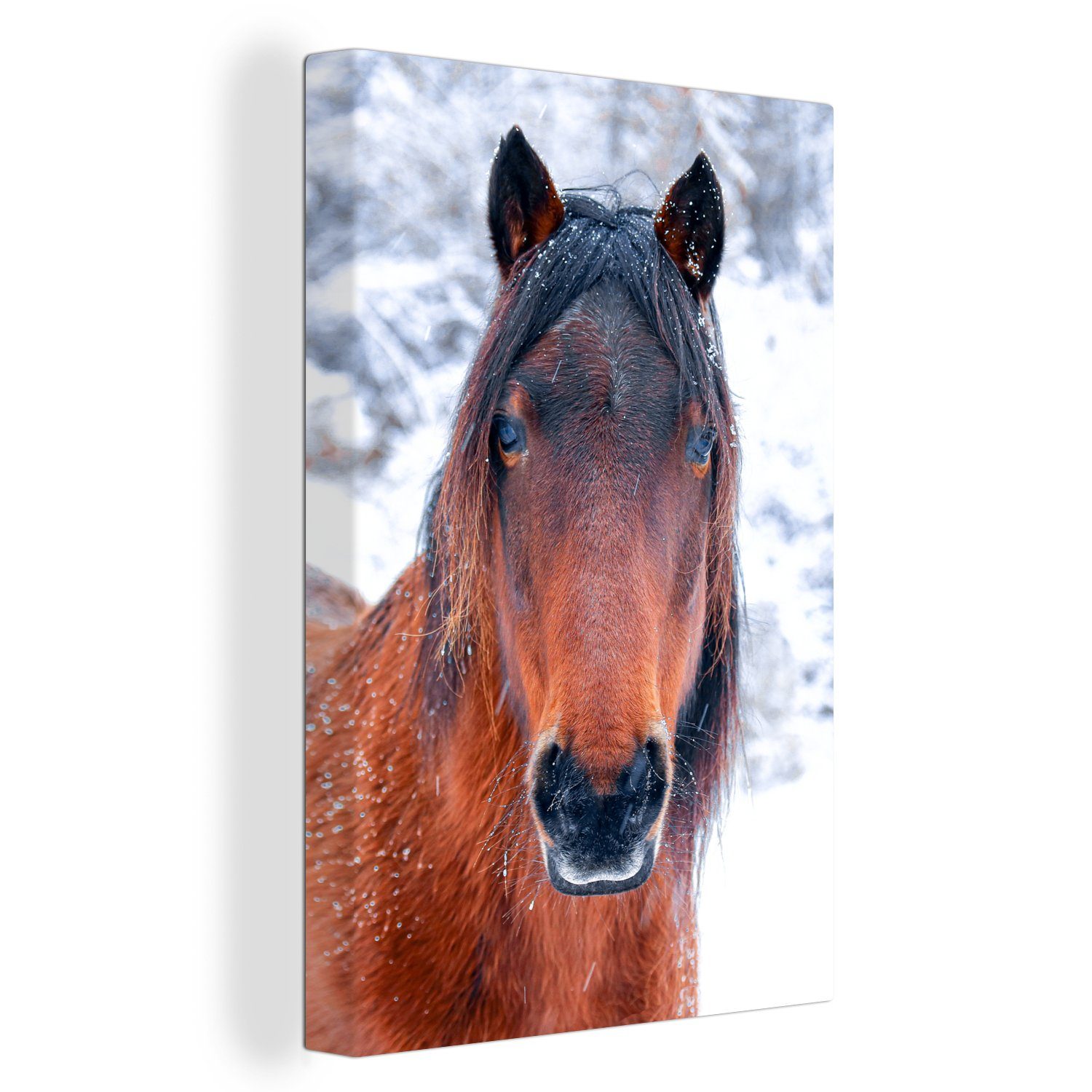 OneMillionCanvasses® Leinwandbild Pferd - Winter - Schneeflocke, (1 St), Leinwandbild fertig bespannt inkl. Zackenaufhänger, Gemälde, 20x30 cm