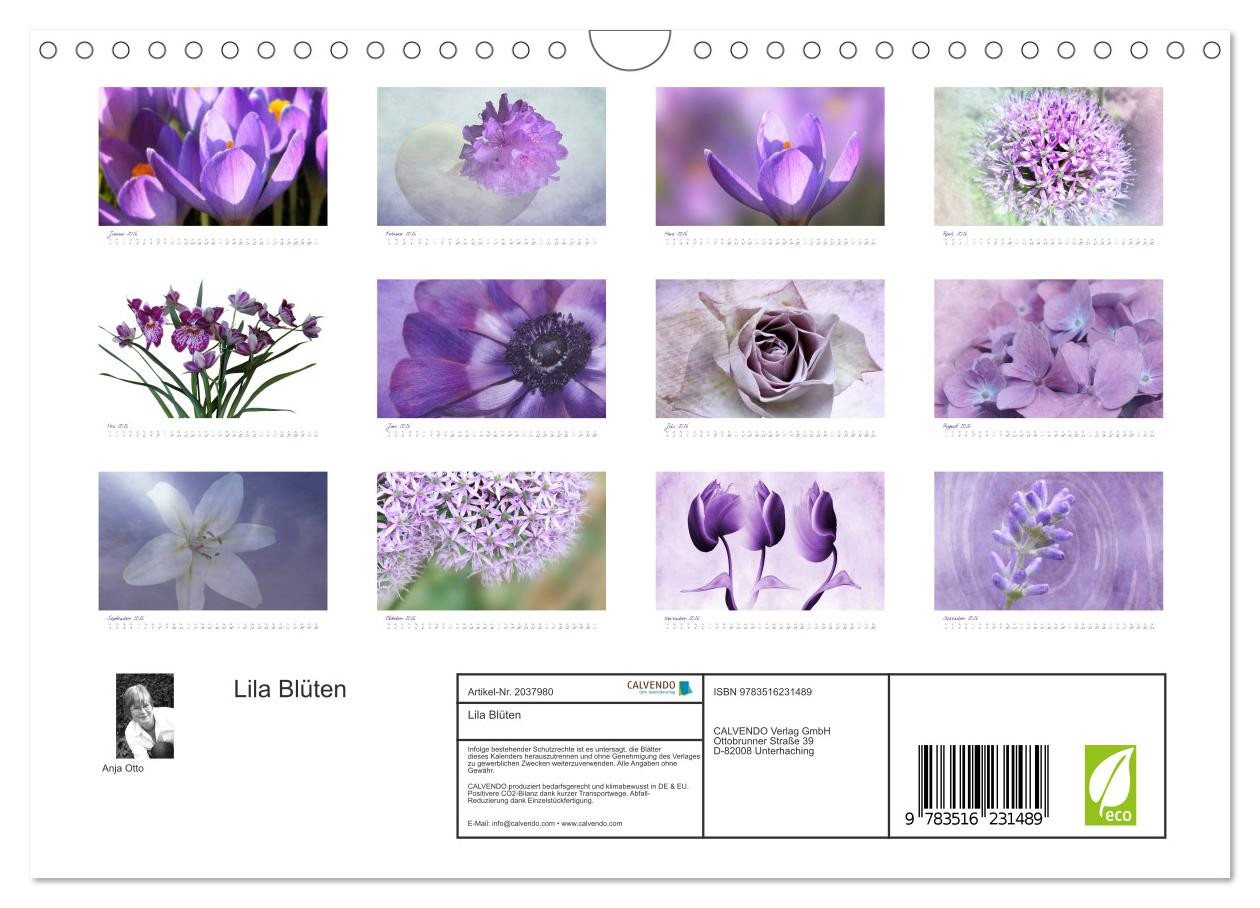 Thumbnail - CALVENDO Wandkalender Lila Blüten (Wandkalender 2026 DIN A4 quer), CALVENDO Monatskalender