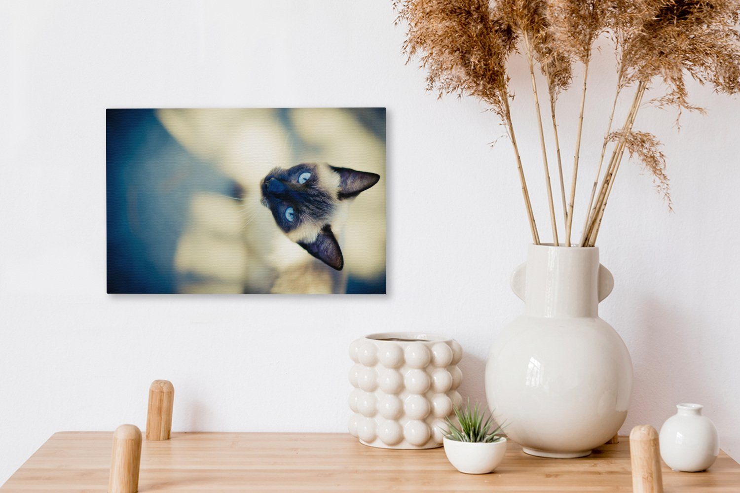 OneMillionCanvasses® Leinwandbild Eine siamesische von St), Wanddeko, Wandbild (1 Leinwandbilder, Katze Aufhängefertig, oben, 30x20 cm