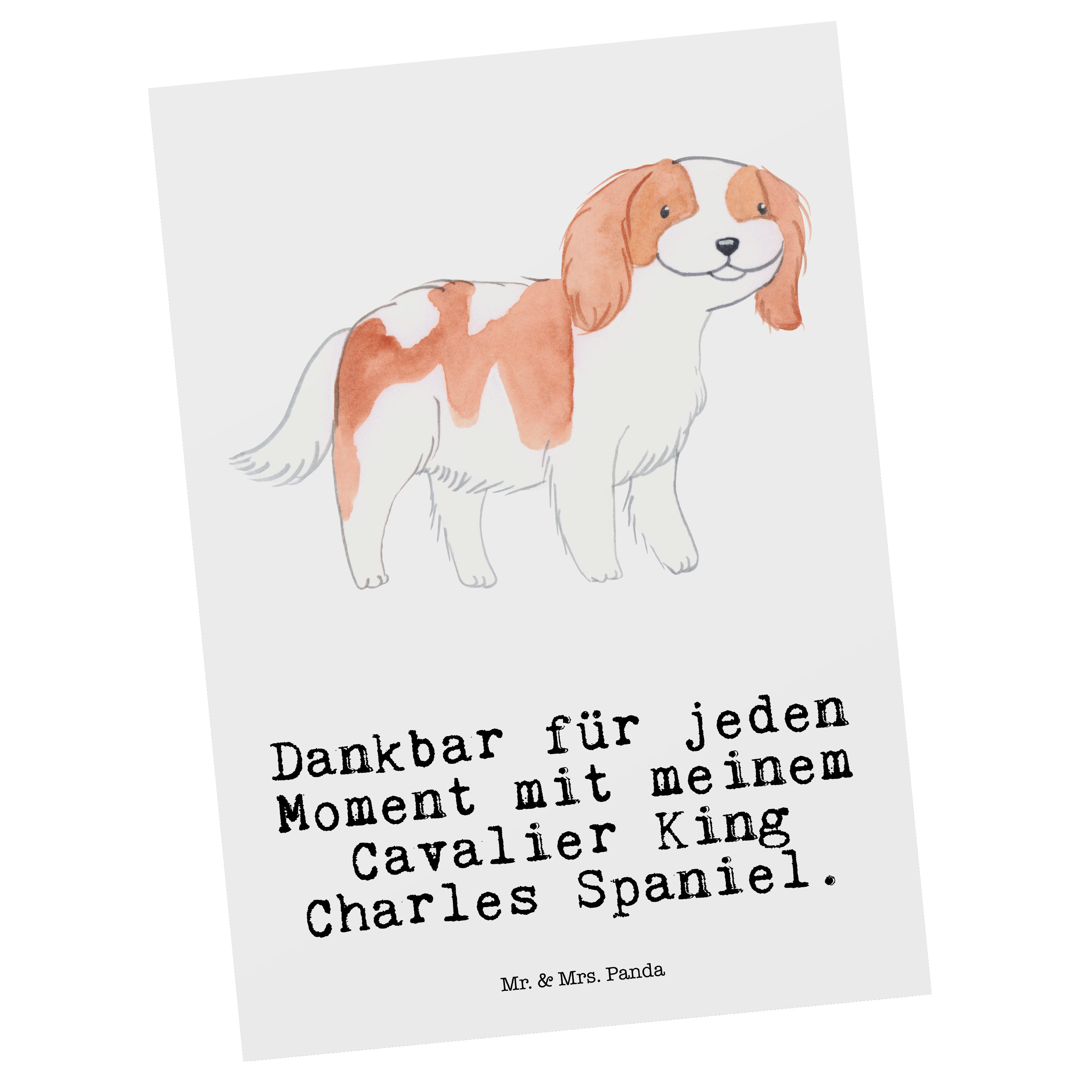 Postkarte & Panda - Hund, Mr. Spaniel Cavalier Charles Moment Mrs. Rassehu King - Weiß Geschenk,