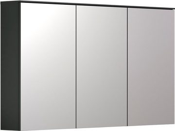 INOSIGN Spiegelschrank Premont (1-St) 120 cm breit / 70 cm hoch, Spiegelschrank Türen mit Soft-Close