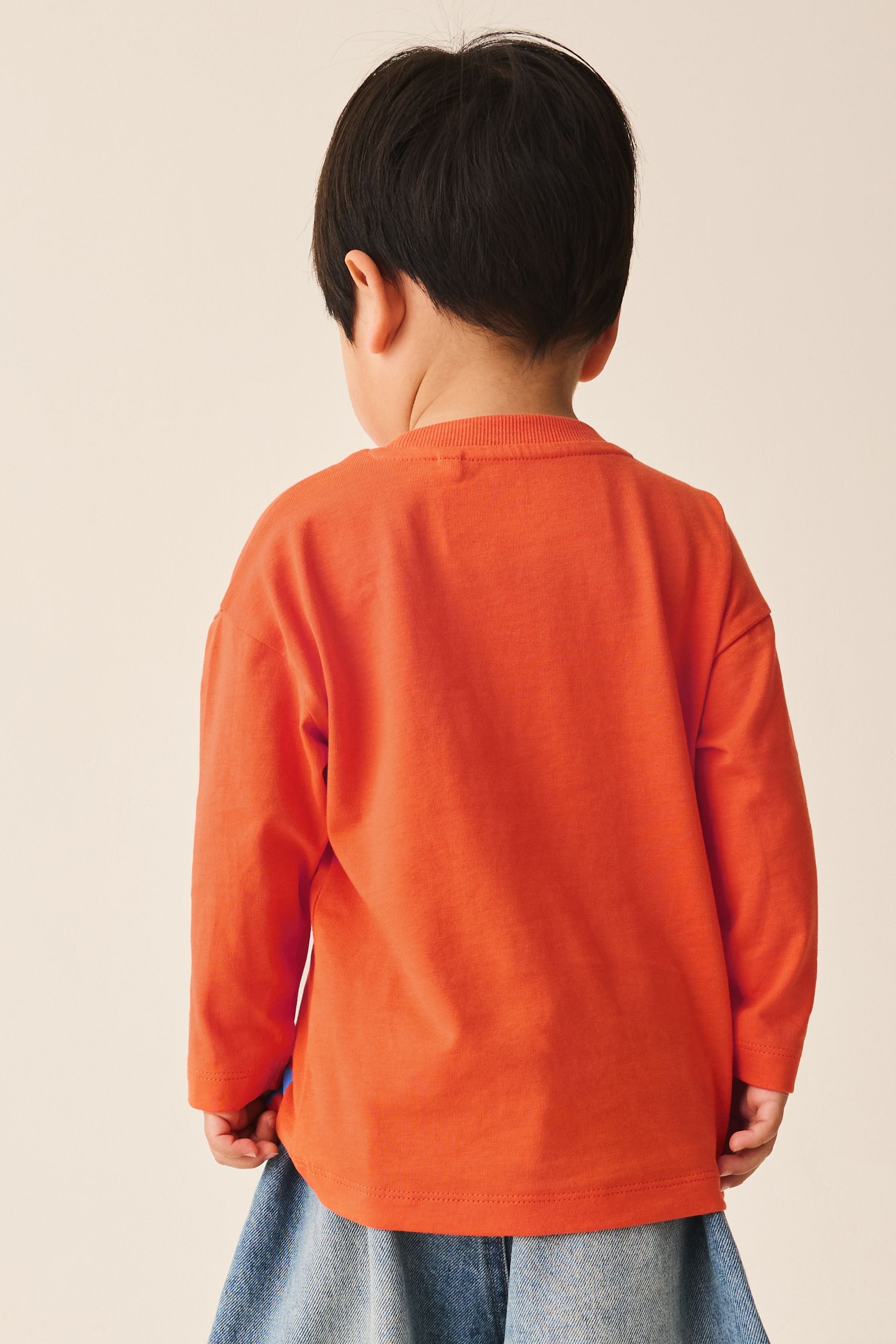 Next Langarmshirt Langärmeliges Shirt mit Rückengrafik (1-tlg)