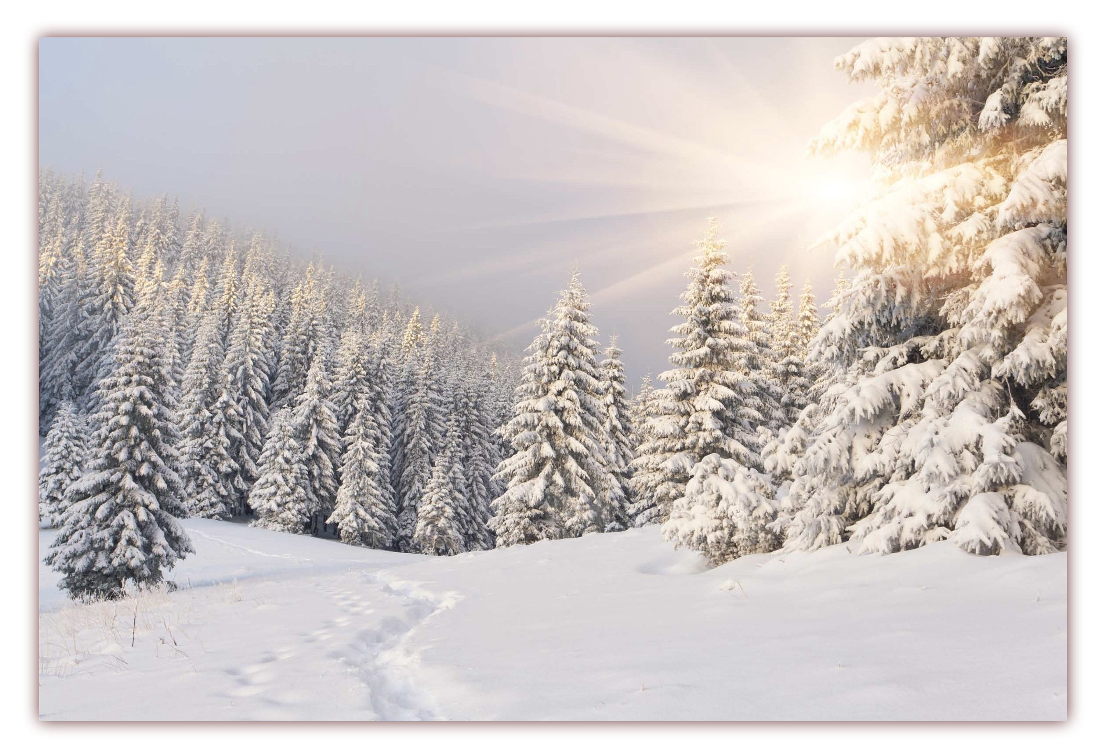 LYSCO Poster XXL Plakat Winter, Winterlandschaft, Schnee, Tiefverschneite W günstig online kaufen