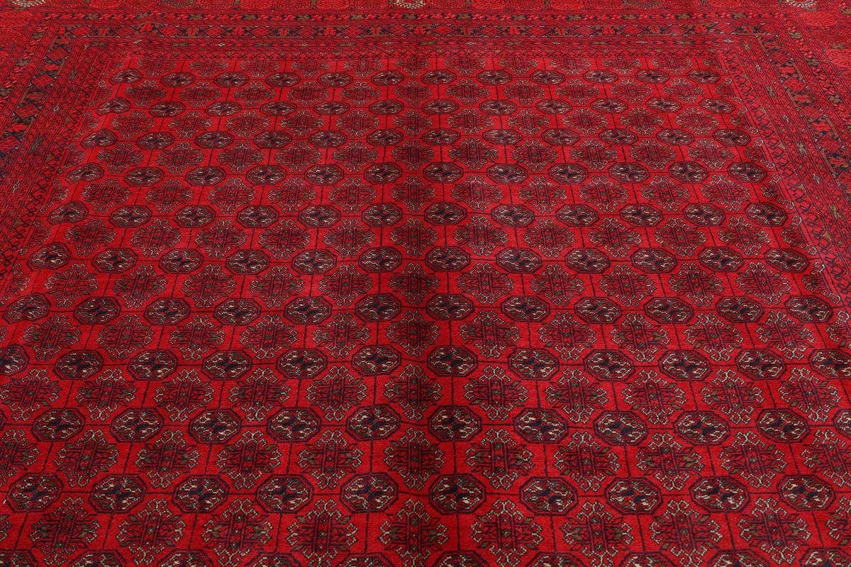 Handgeknüpfter Mauri Trading, Nain Orientteppich, Höhe: Orientteppich rechteckig, Afghan mm 6 245x330