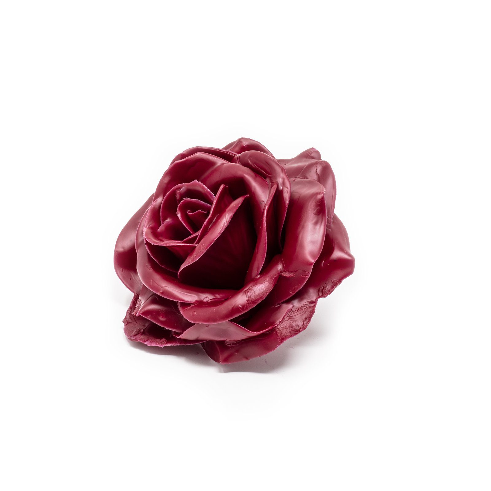 Höhe Trockenblume cm 20 - Bordeaux, Wachsrose Primera, 10er-Set